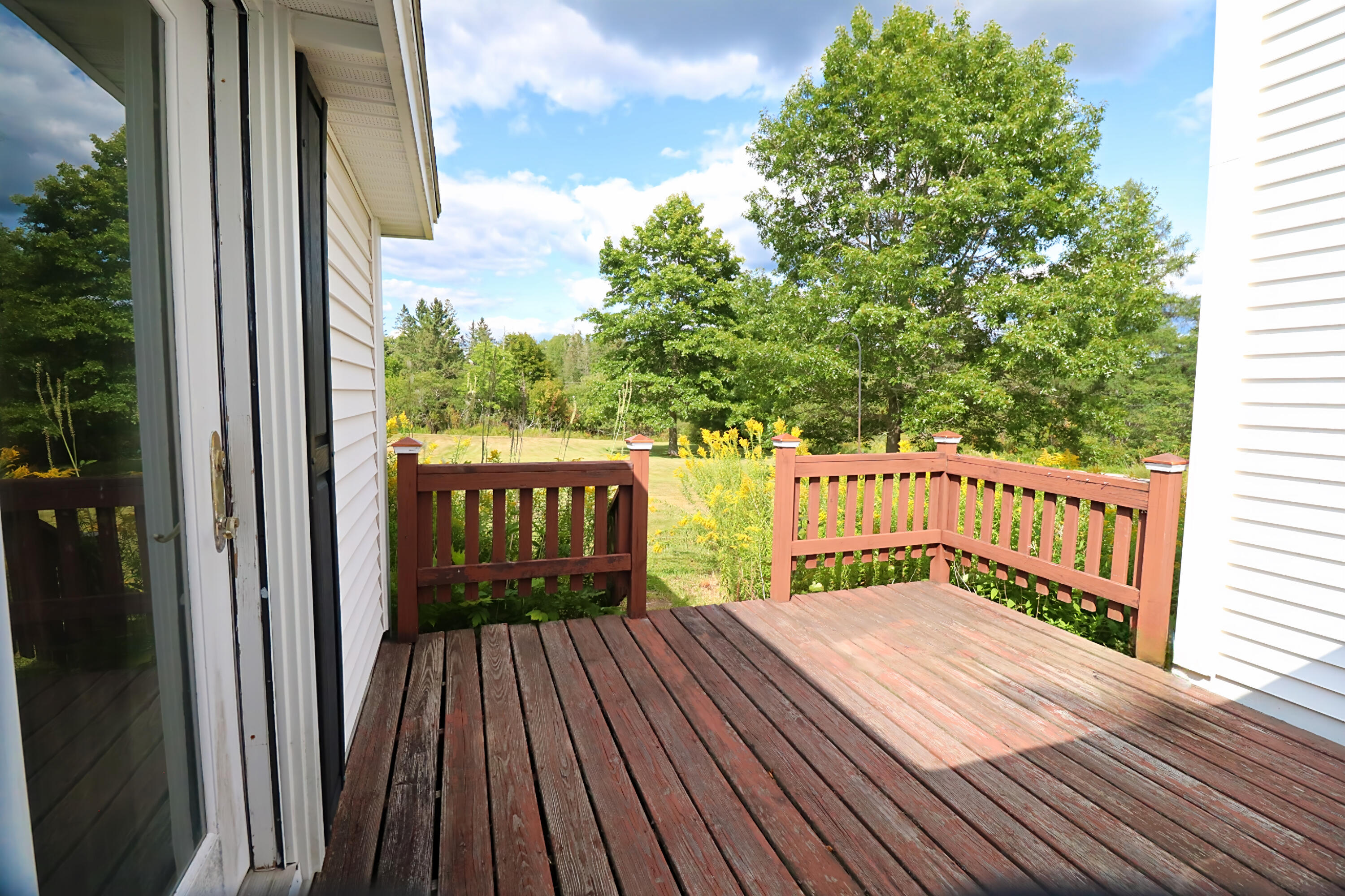 26 Forest Hill Street Property Photo 9