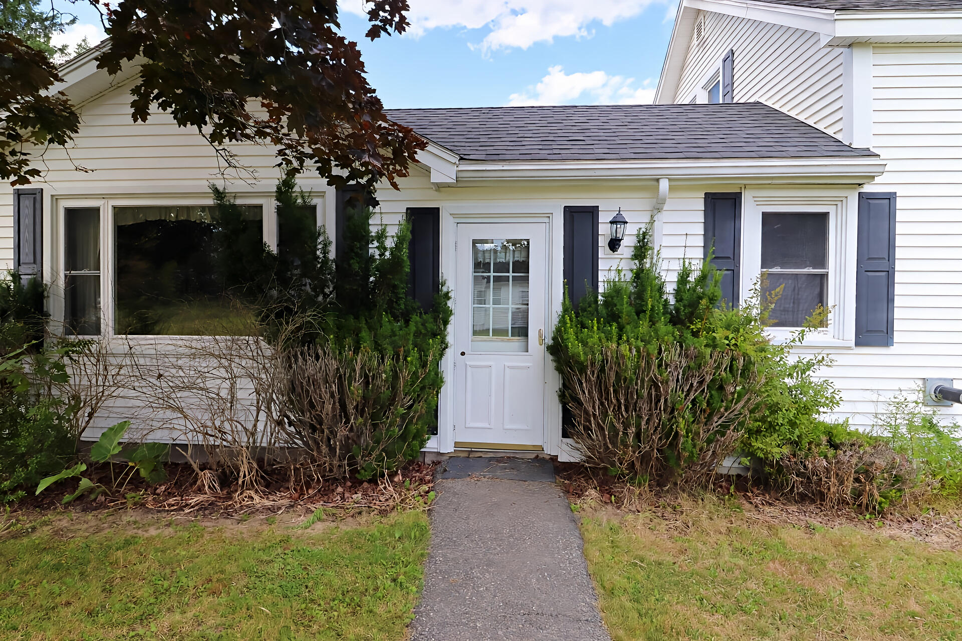 26 Forest Hill Street Property Photo 19