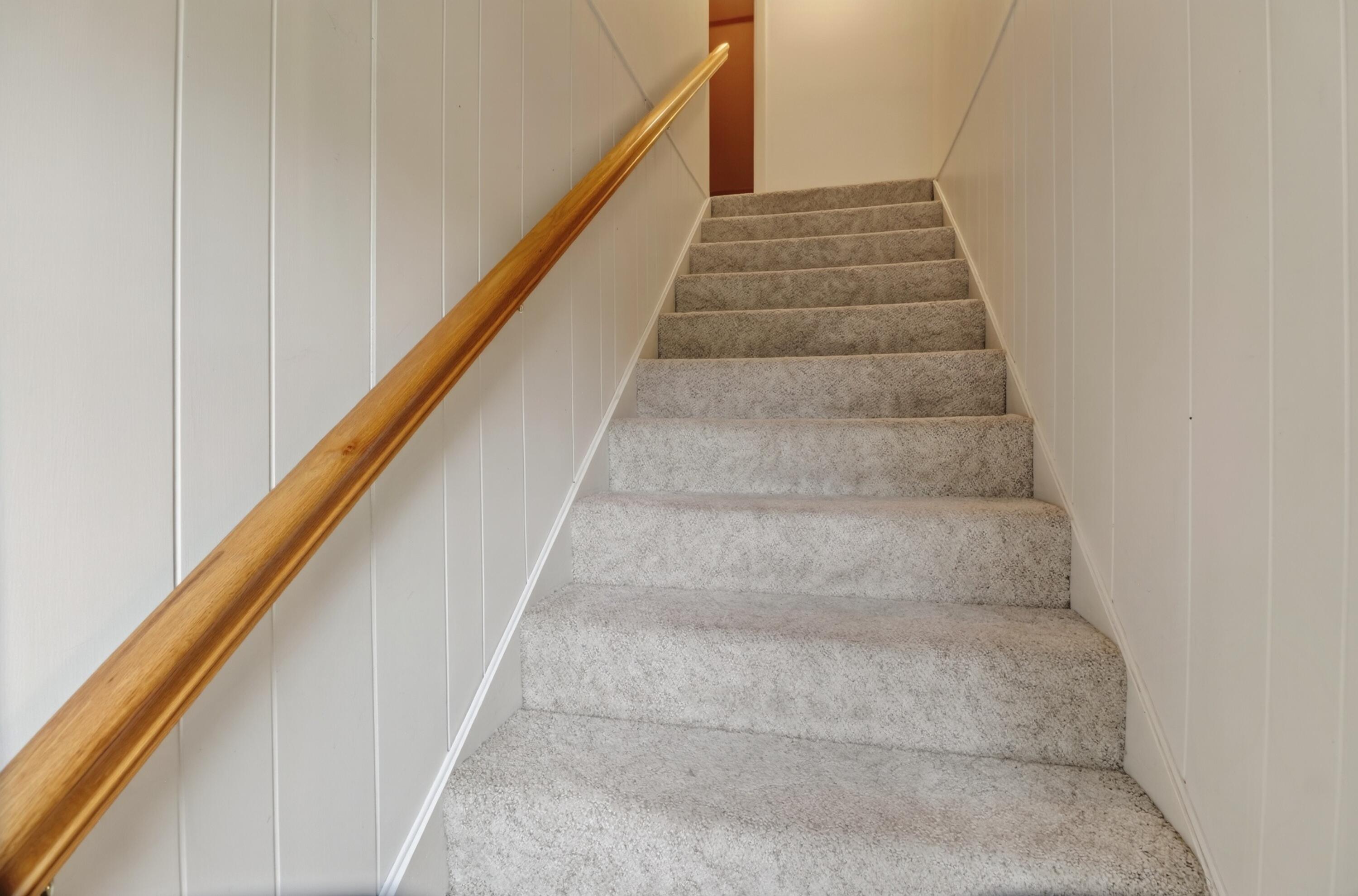 26 Forest Hill Street Property Photo 49