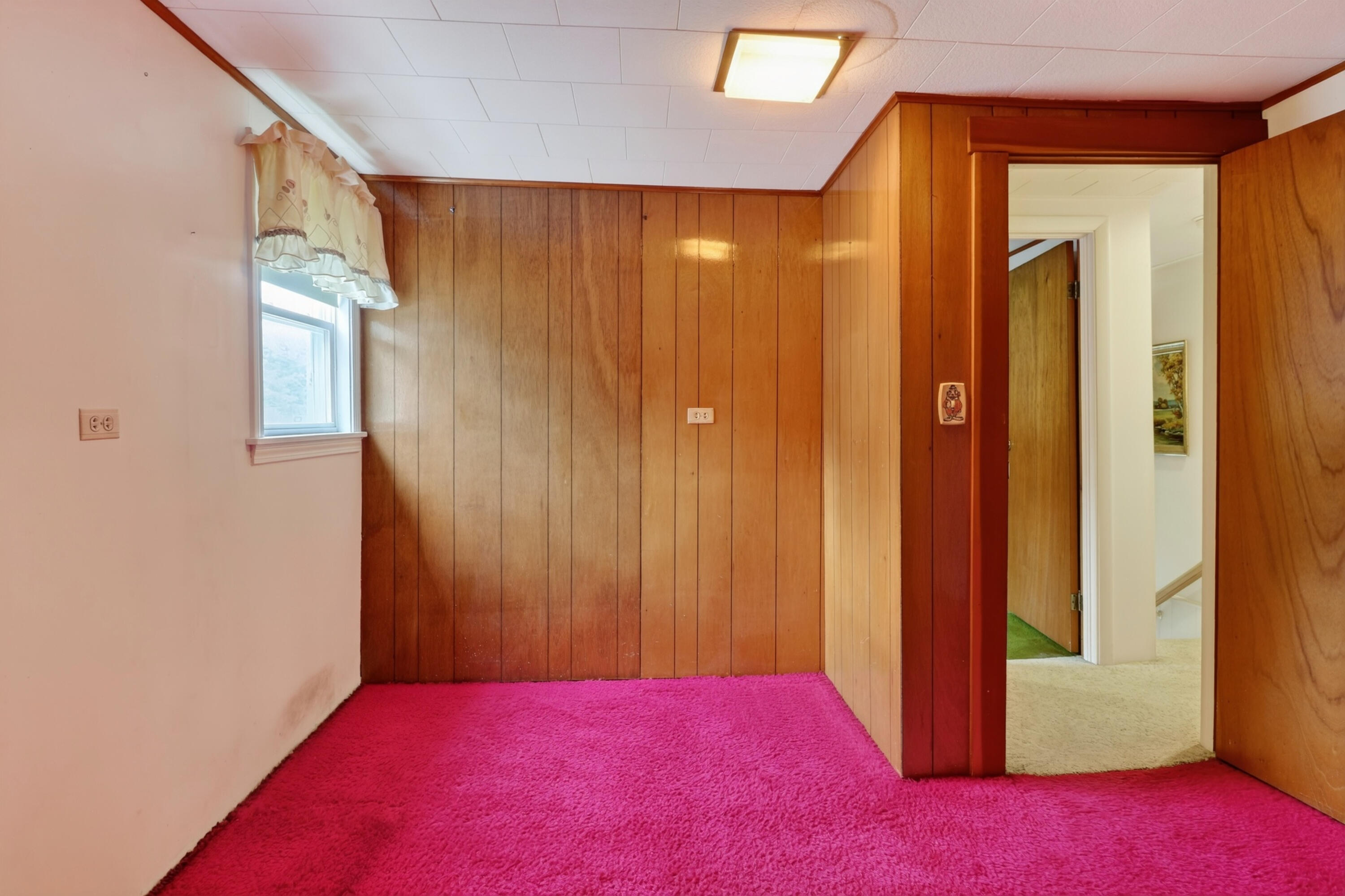 26 Forest Hill Street Property Photo 66