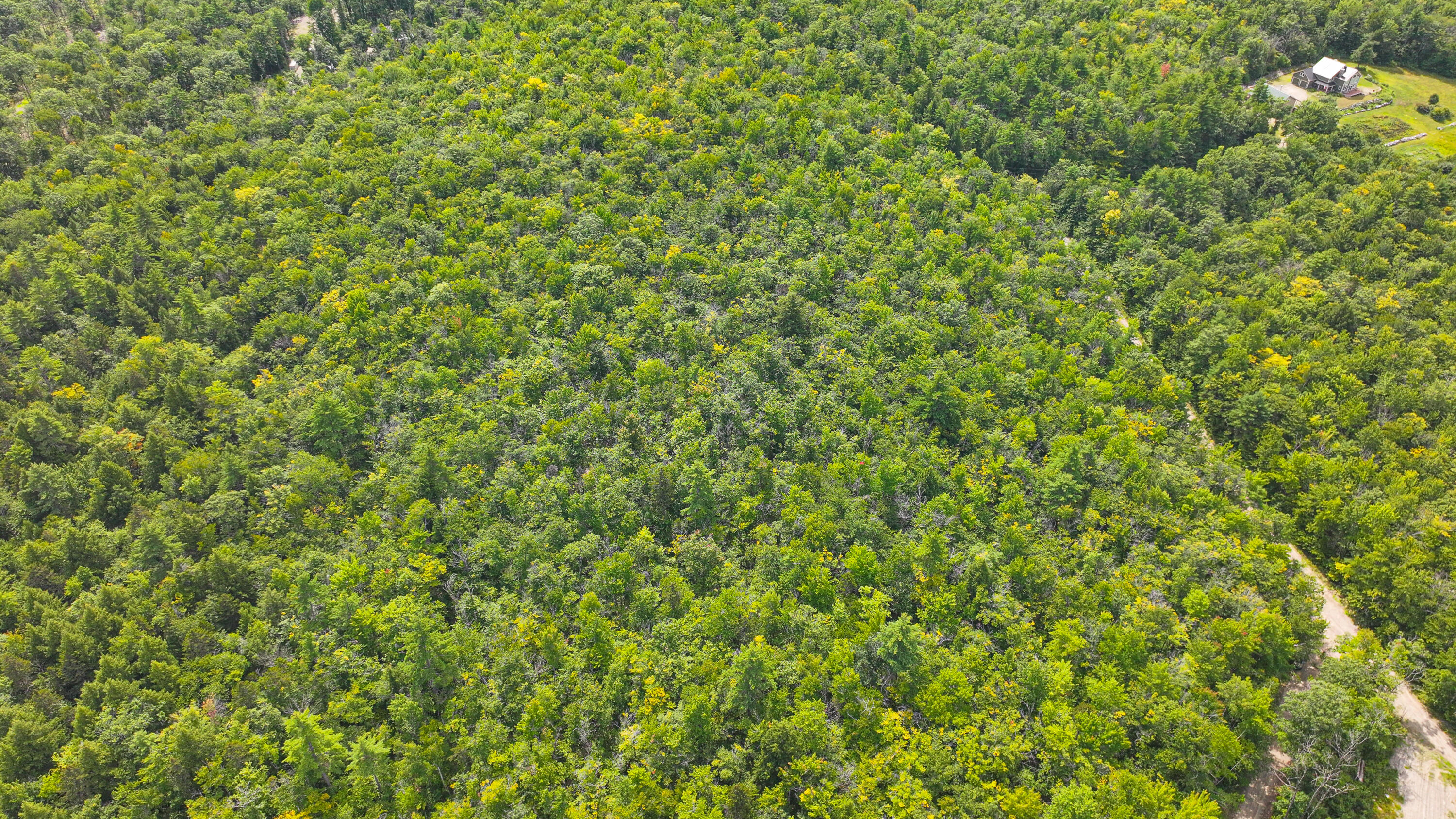 Map2lot32 Hartman Road Property Photo 10
