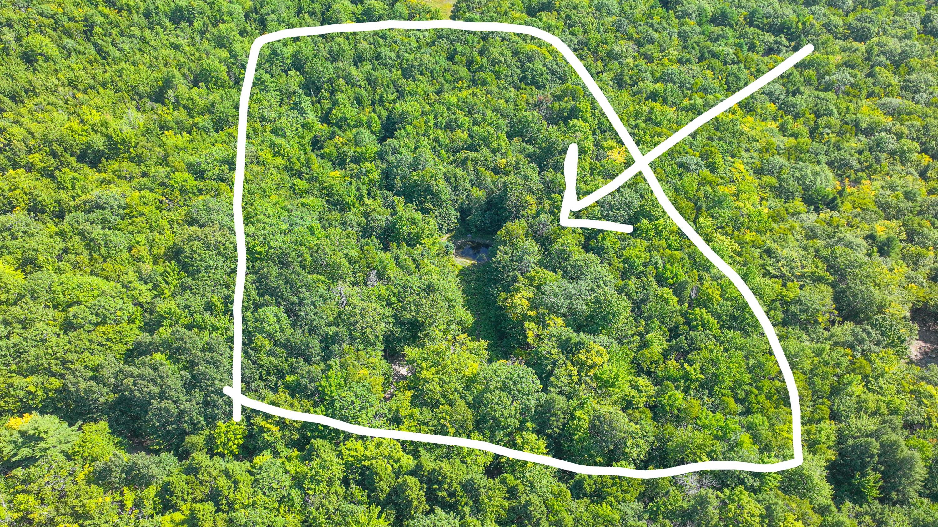 71 Sara's Trail Property Photo 2
