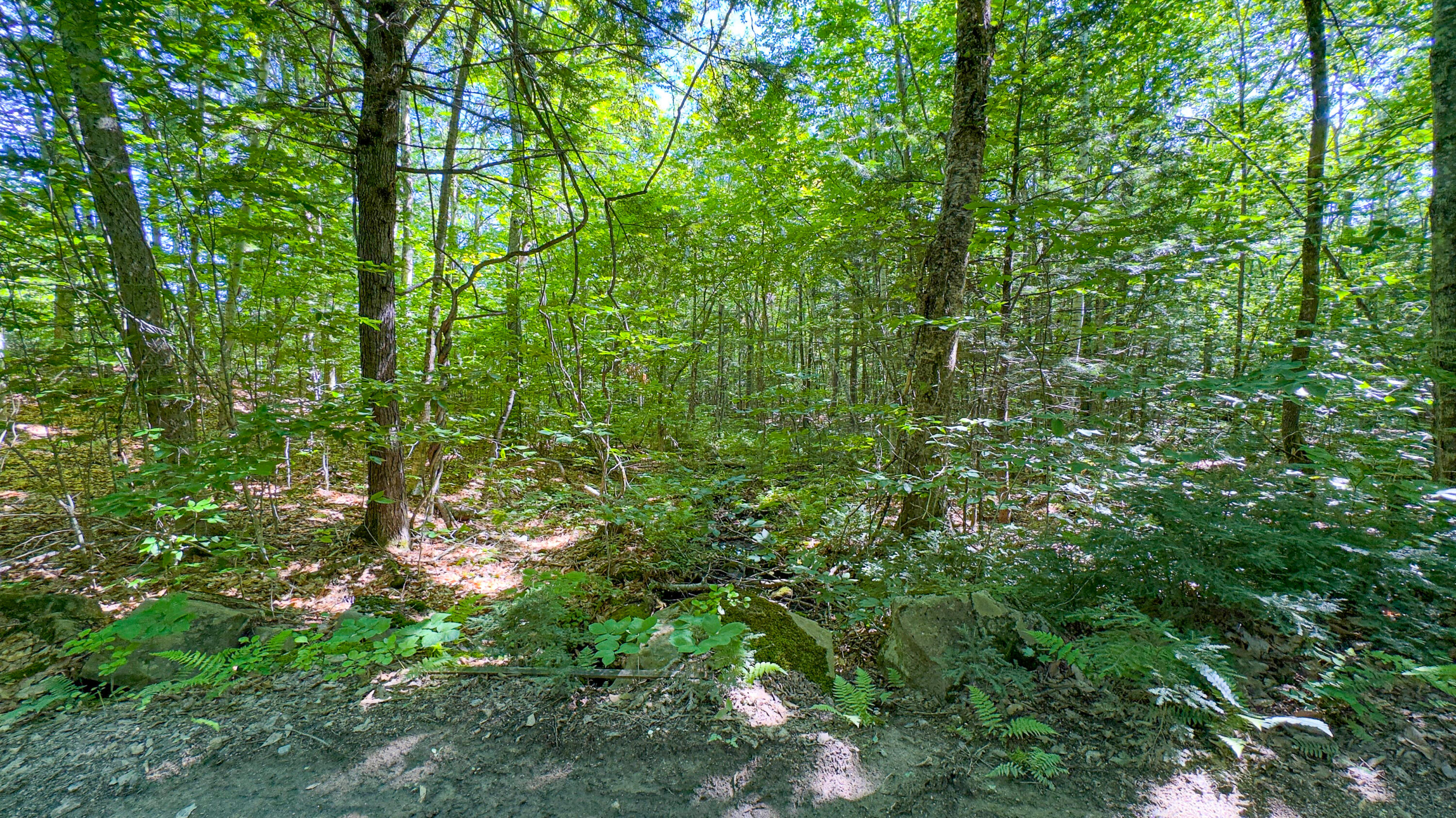 71 Sara's Trail Property Photo 6