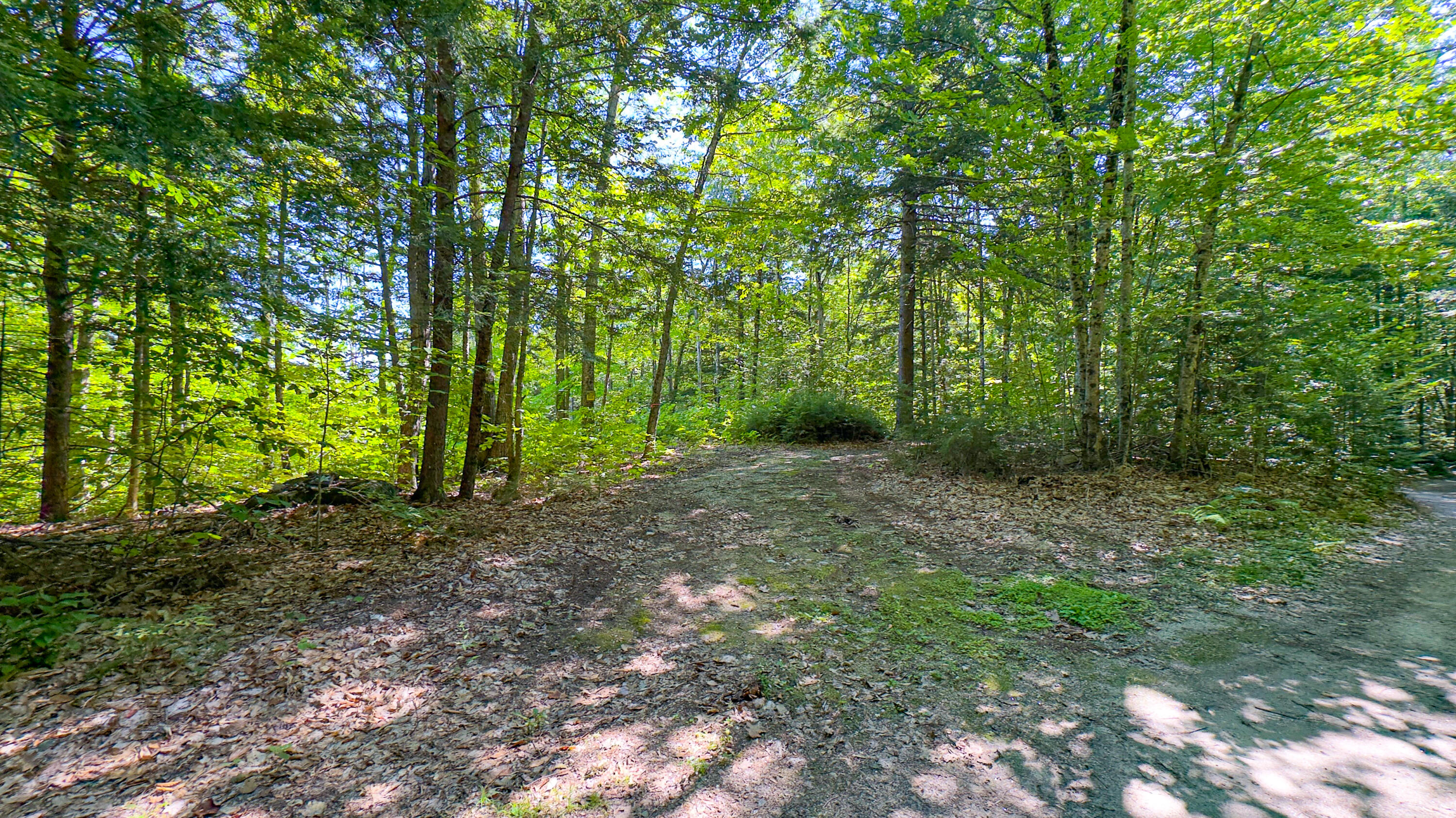 71 Sara's Trail Property Photo 7