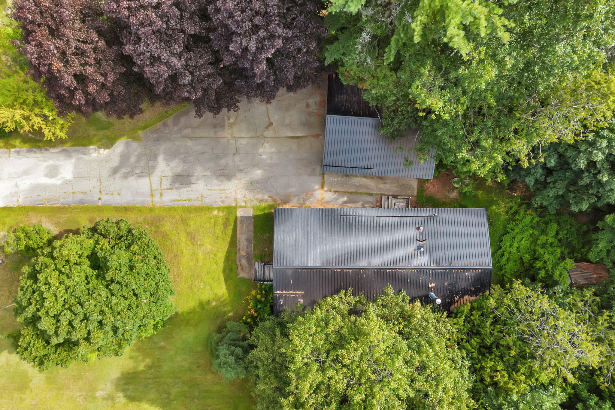 39 Cressy Avenue Property Photo 43
