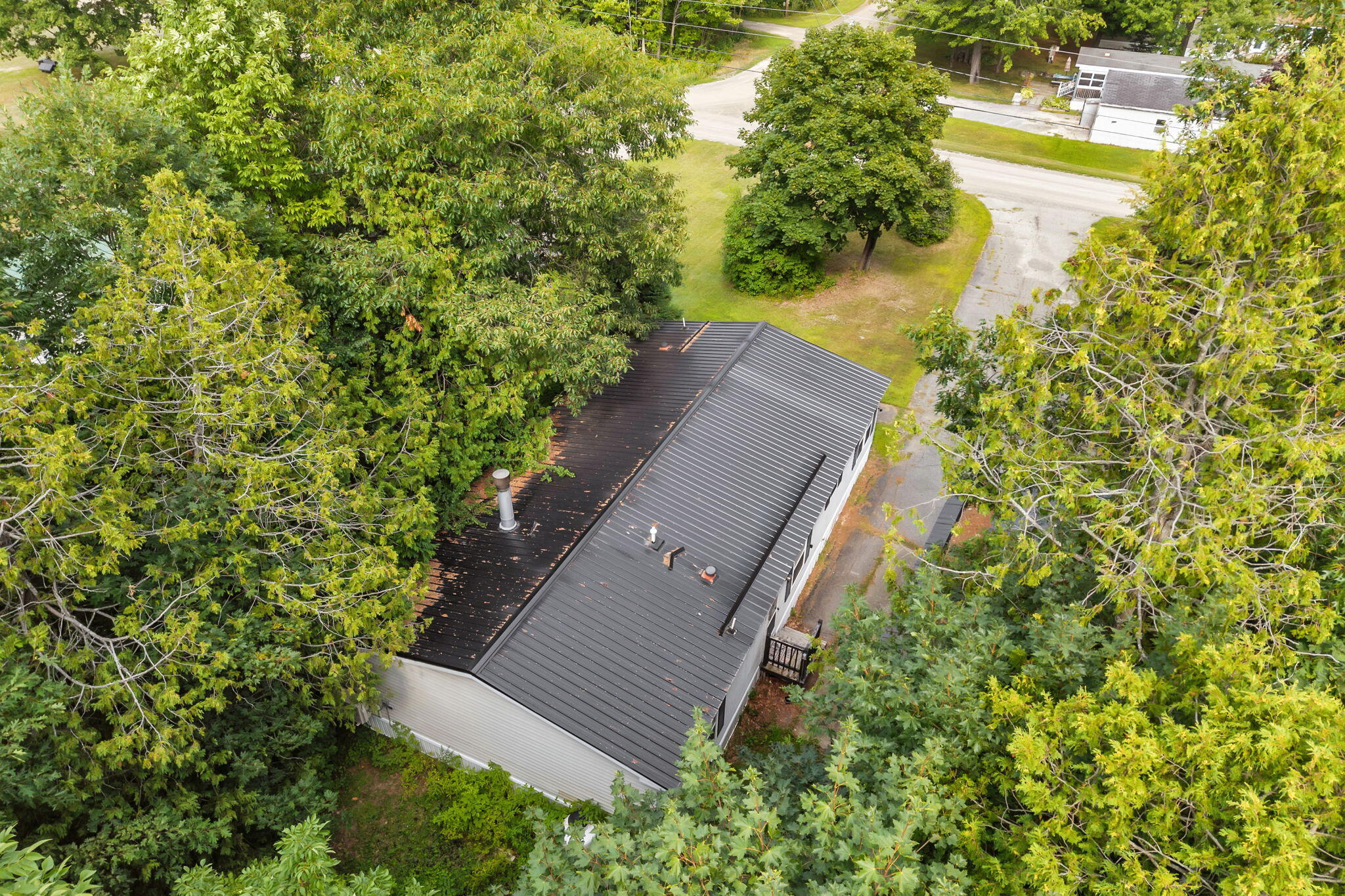 39 Cressy Avenue Property Photo 44