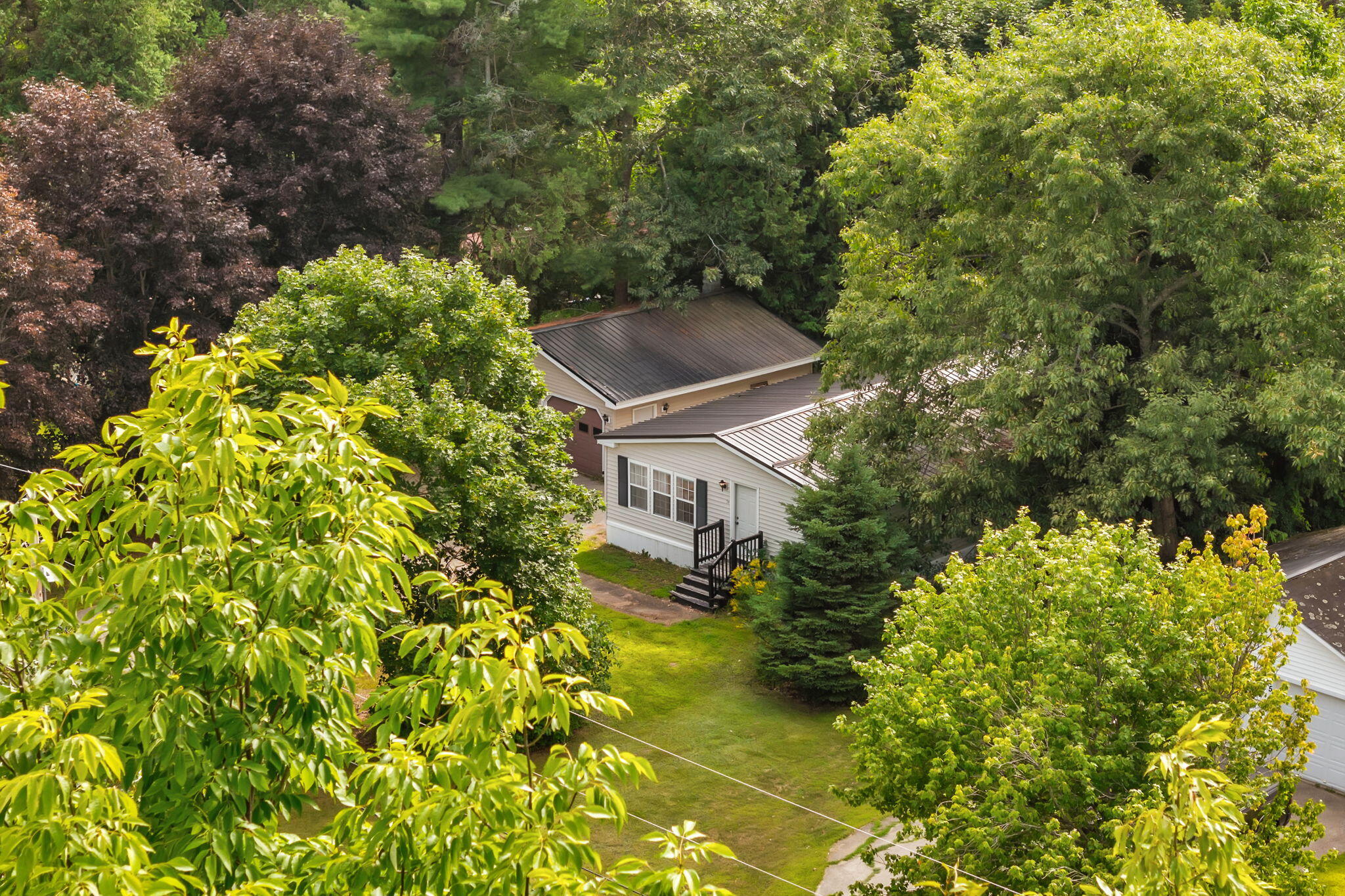 39 Cressy Avenue Property Photo 48