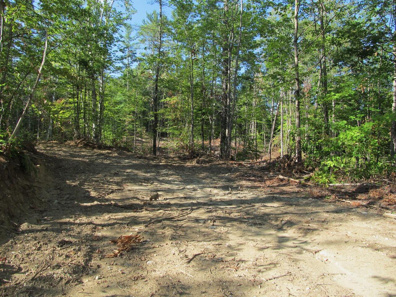 8 Norton Road Property Photo 22