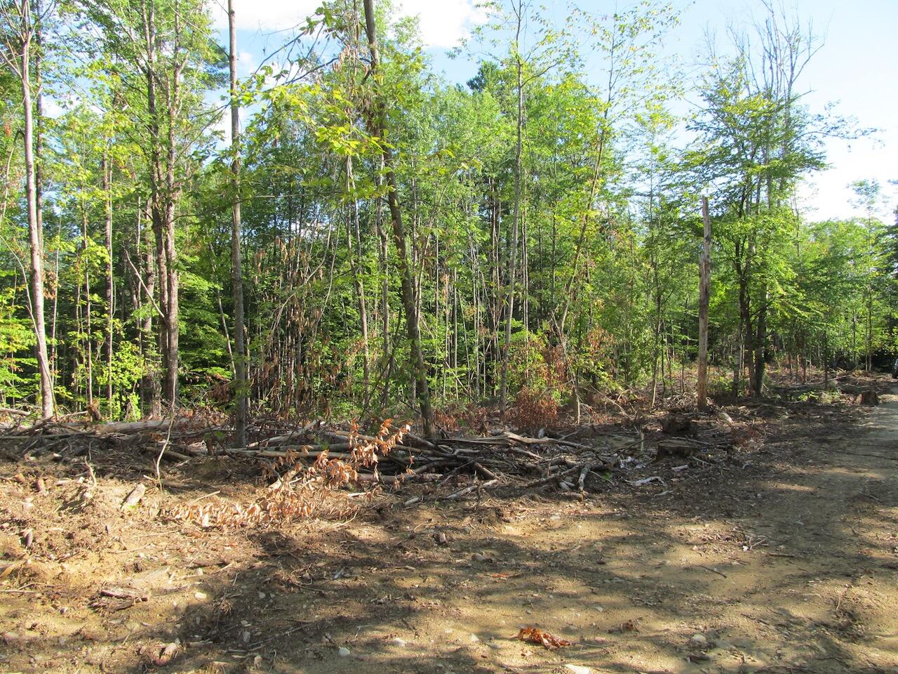 8 Norton Road Property Photo 28