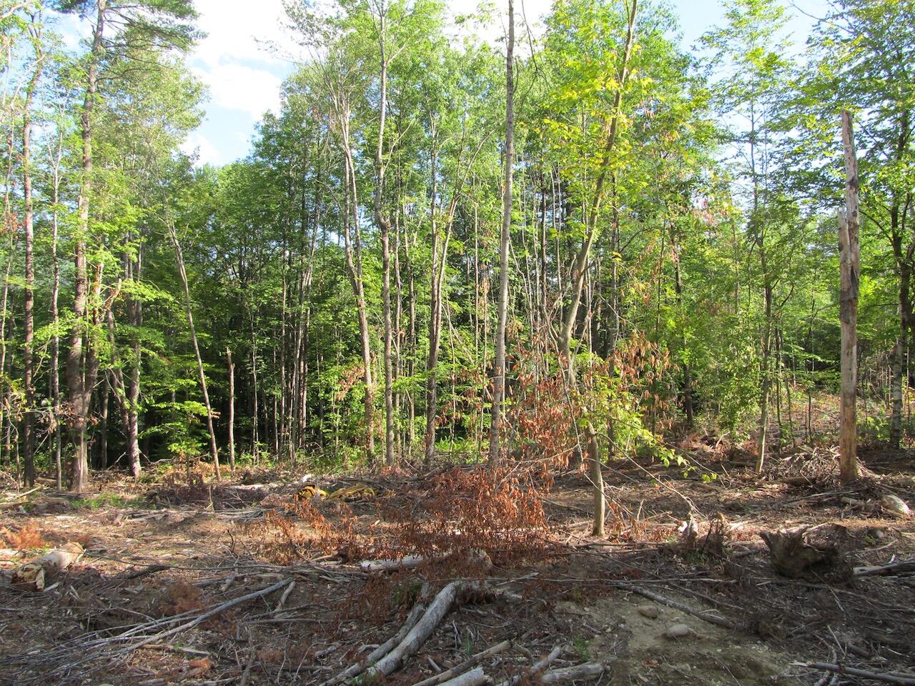 8 Norton Road Property Photo 32