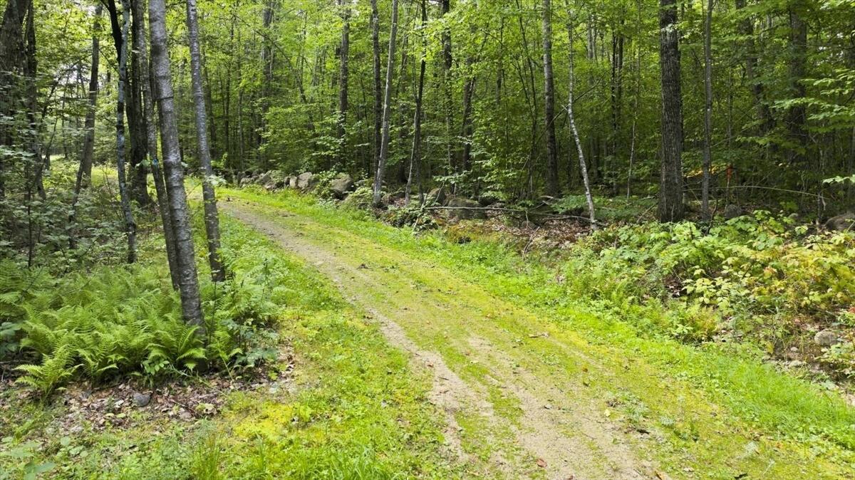276 Johnson Hill Road Property Photo 22