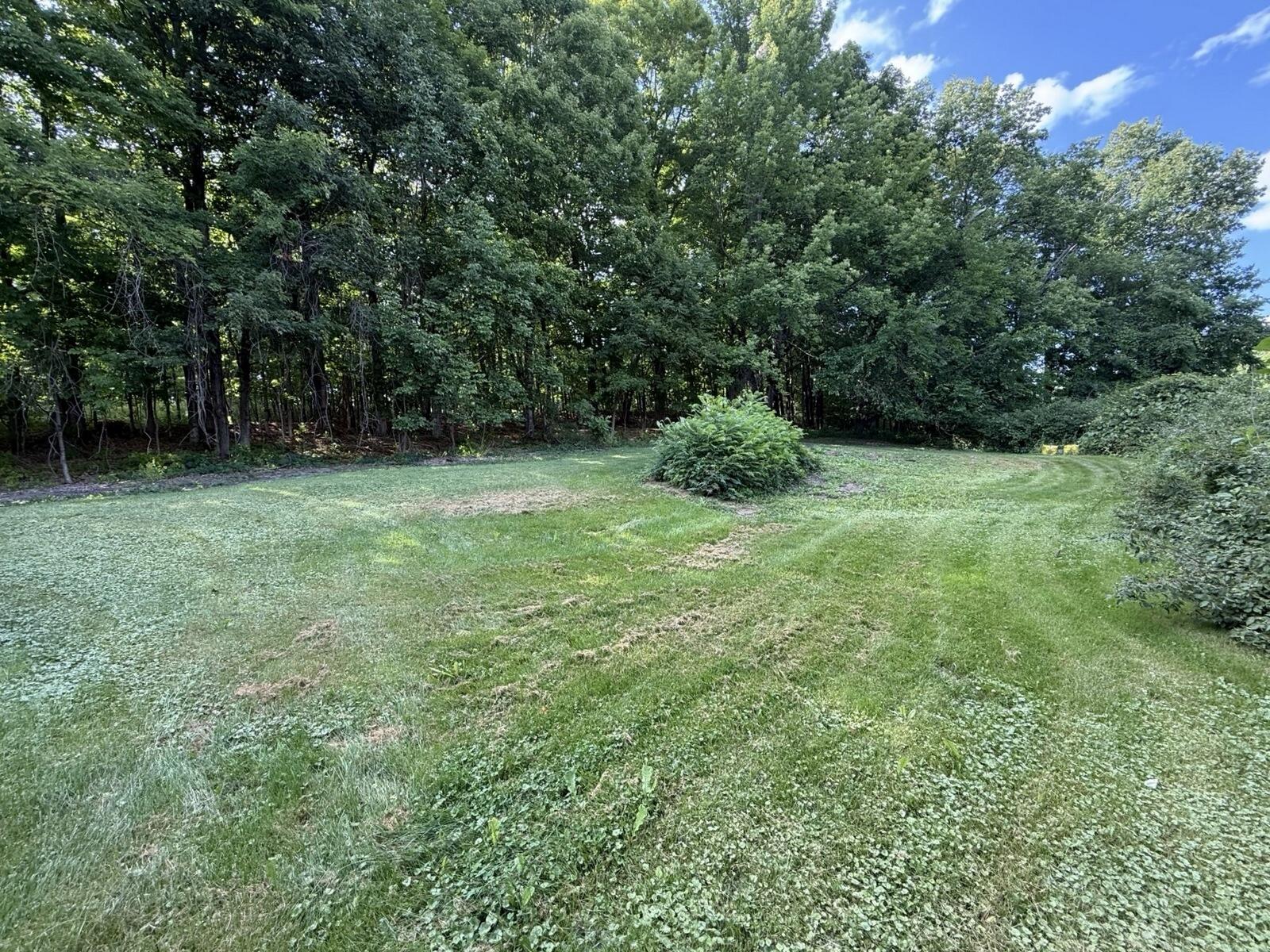 1350 Main Street Property Photo 18