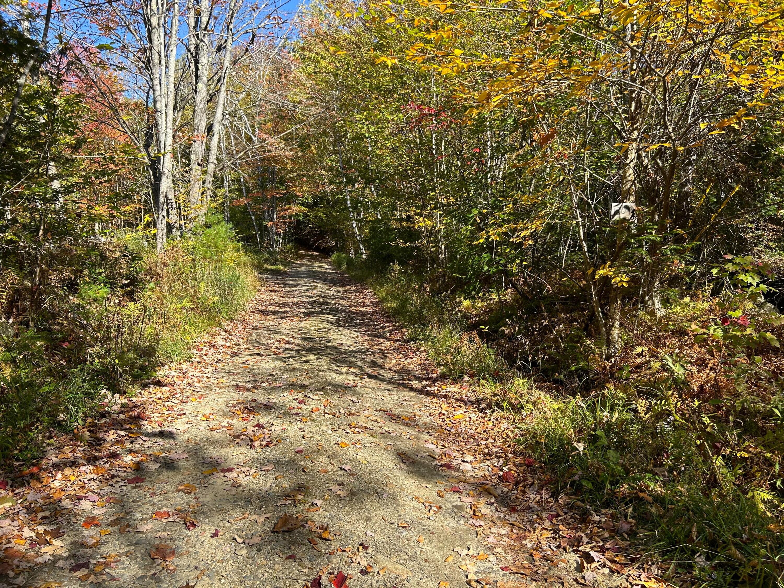 80-002-a Road Less Traveled Property Photo 15