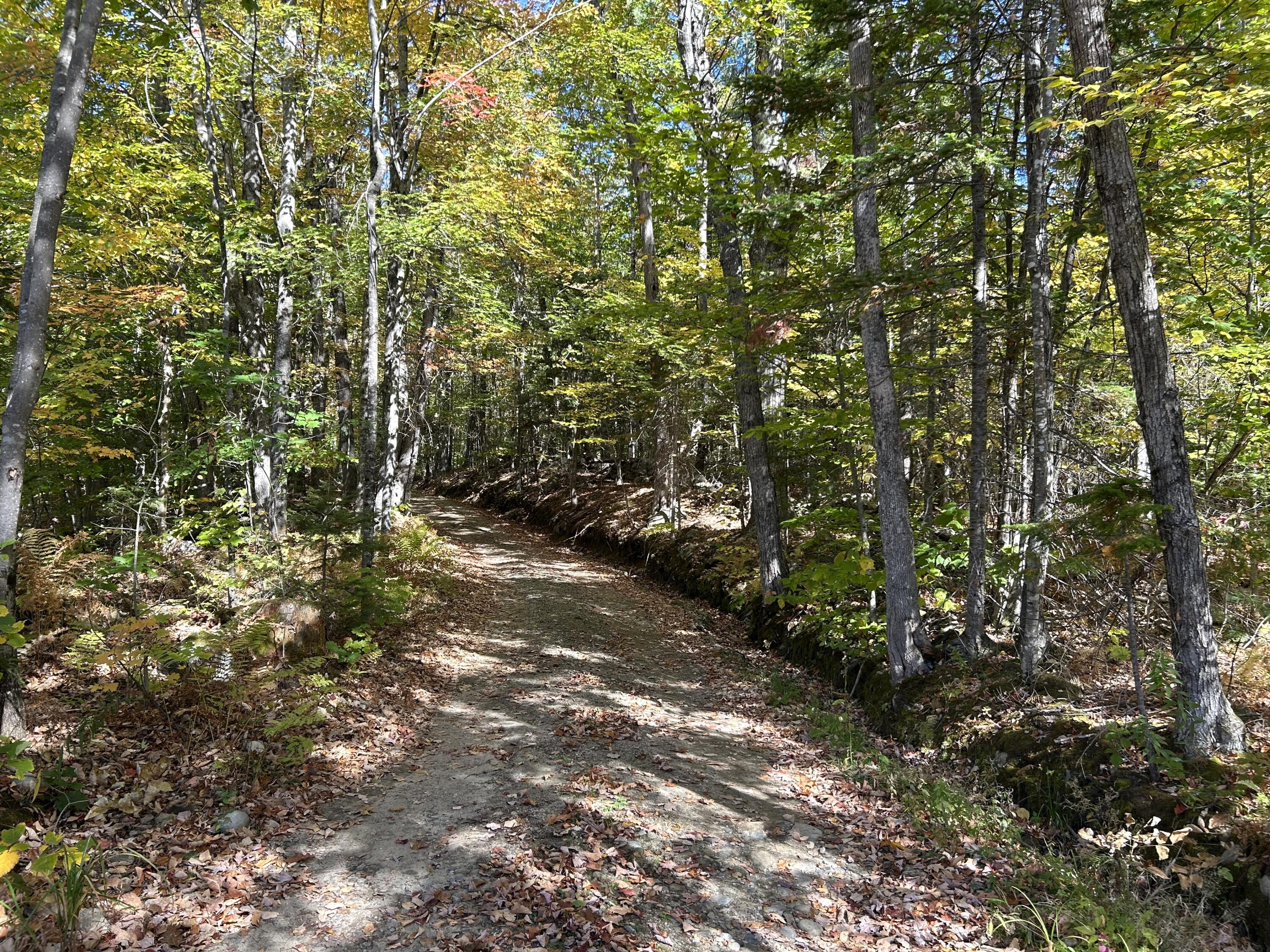 80-002-a Road Less Traveled Property Photo 16