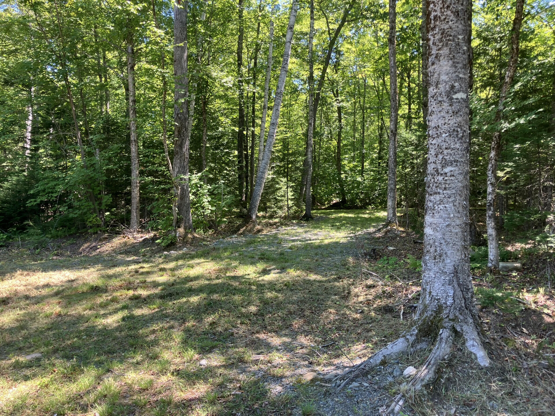 52 Slate Trail Property Photo 7