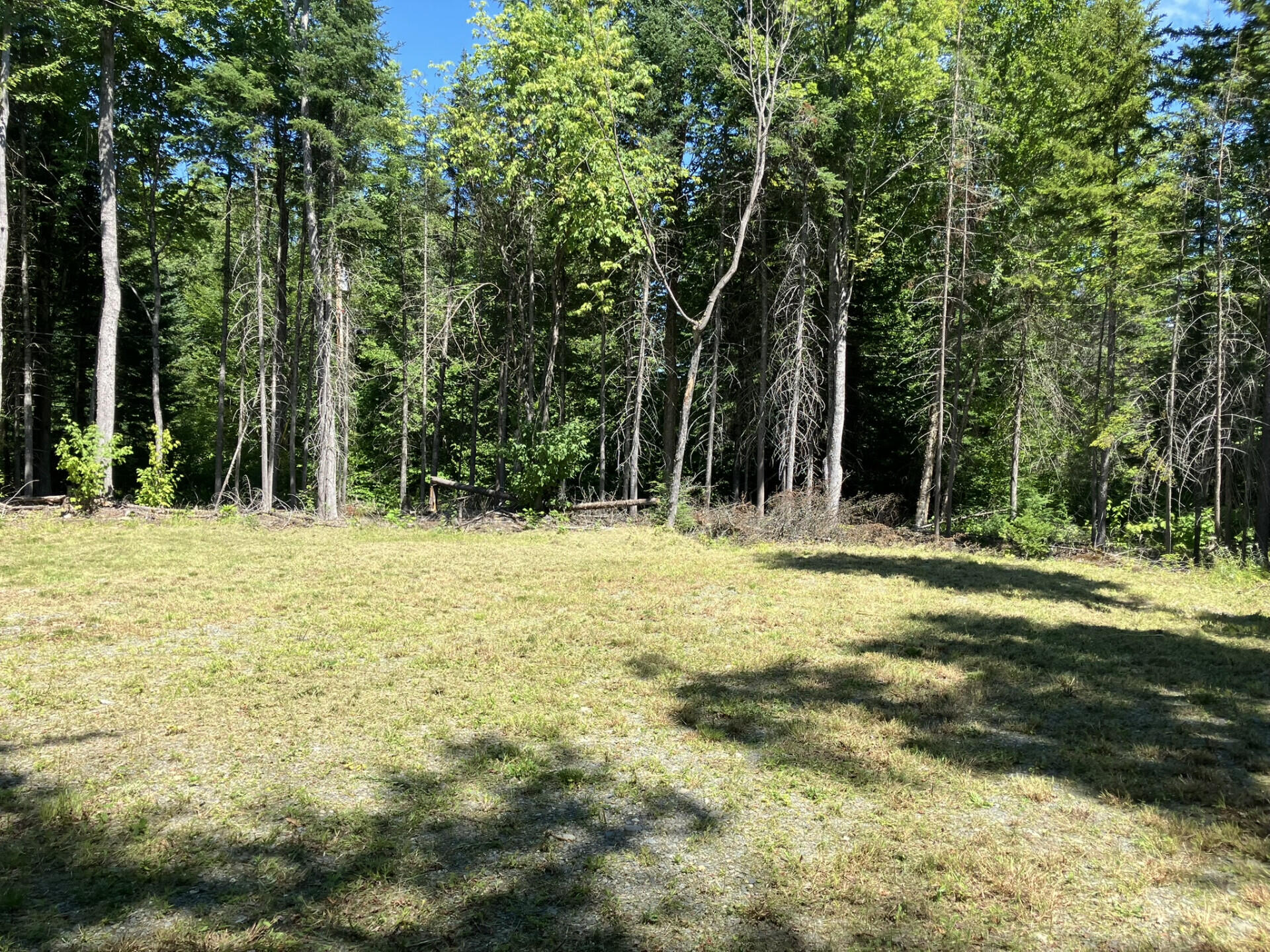52 Slate Trail Property Photo 8