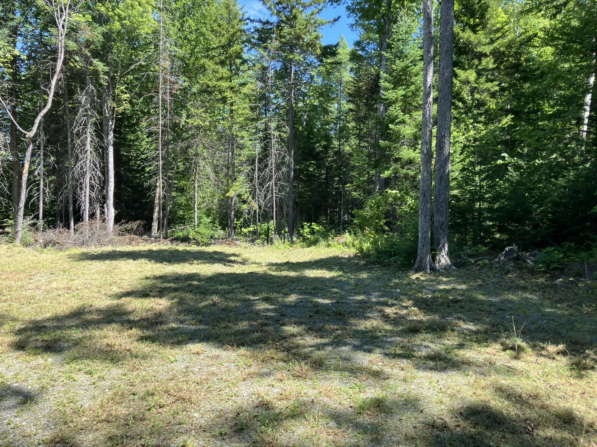 52 Slate Trail Property Photo 9