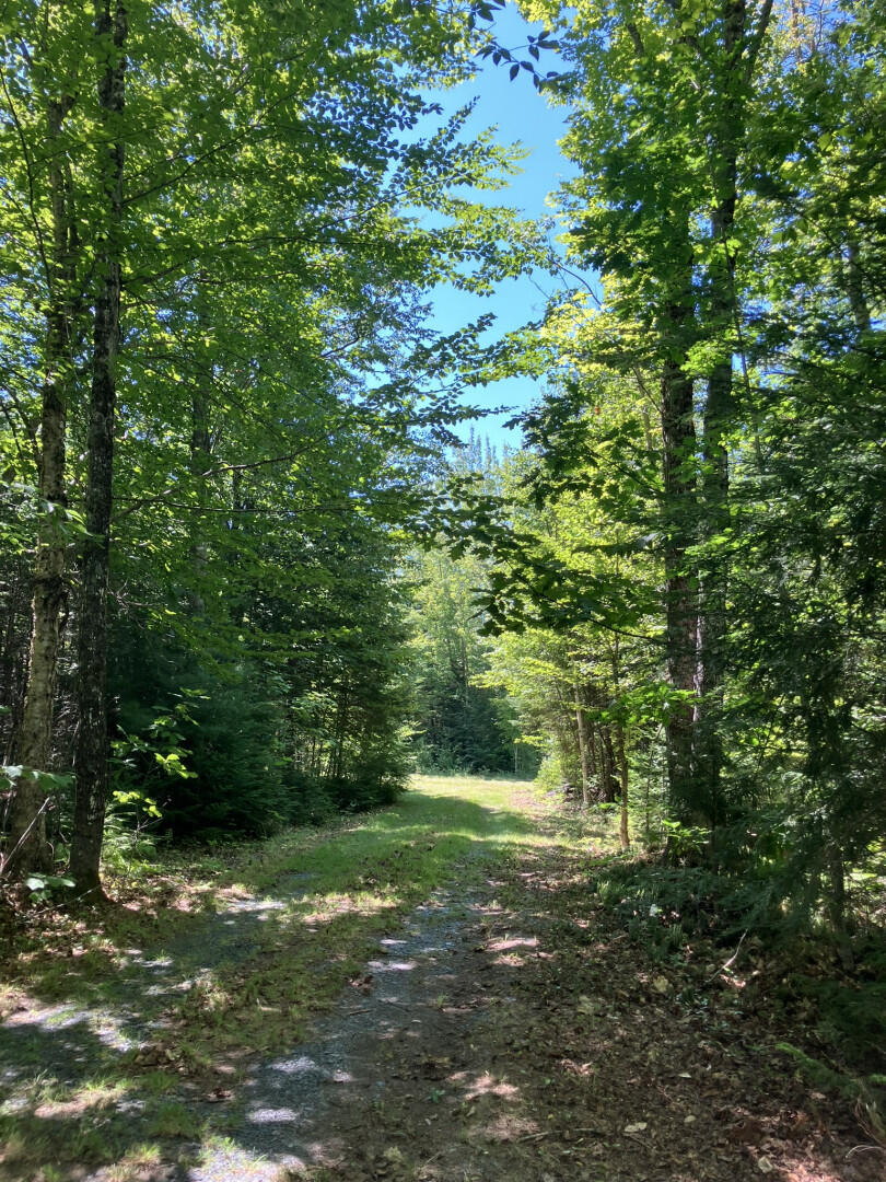 52 Slate Trail Property Photo 10