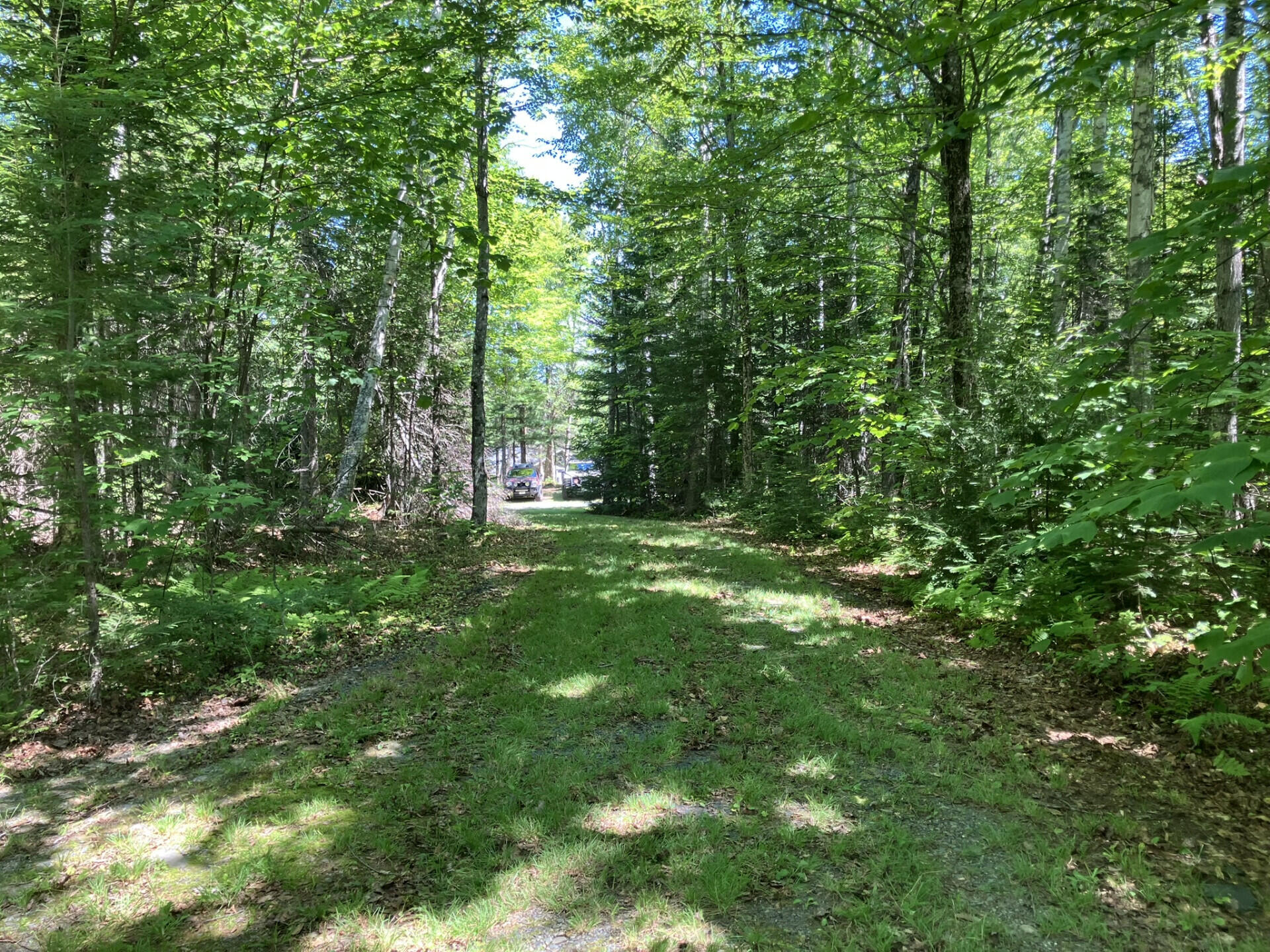 52 Slate Trail Property Photo 11