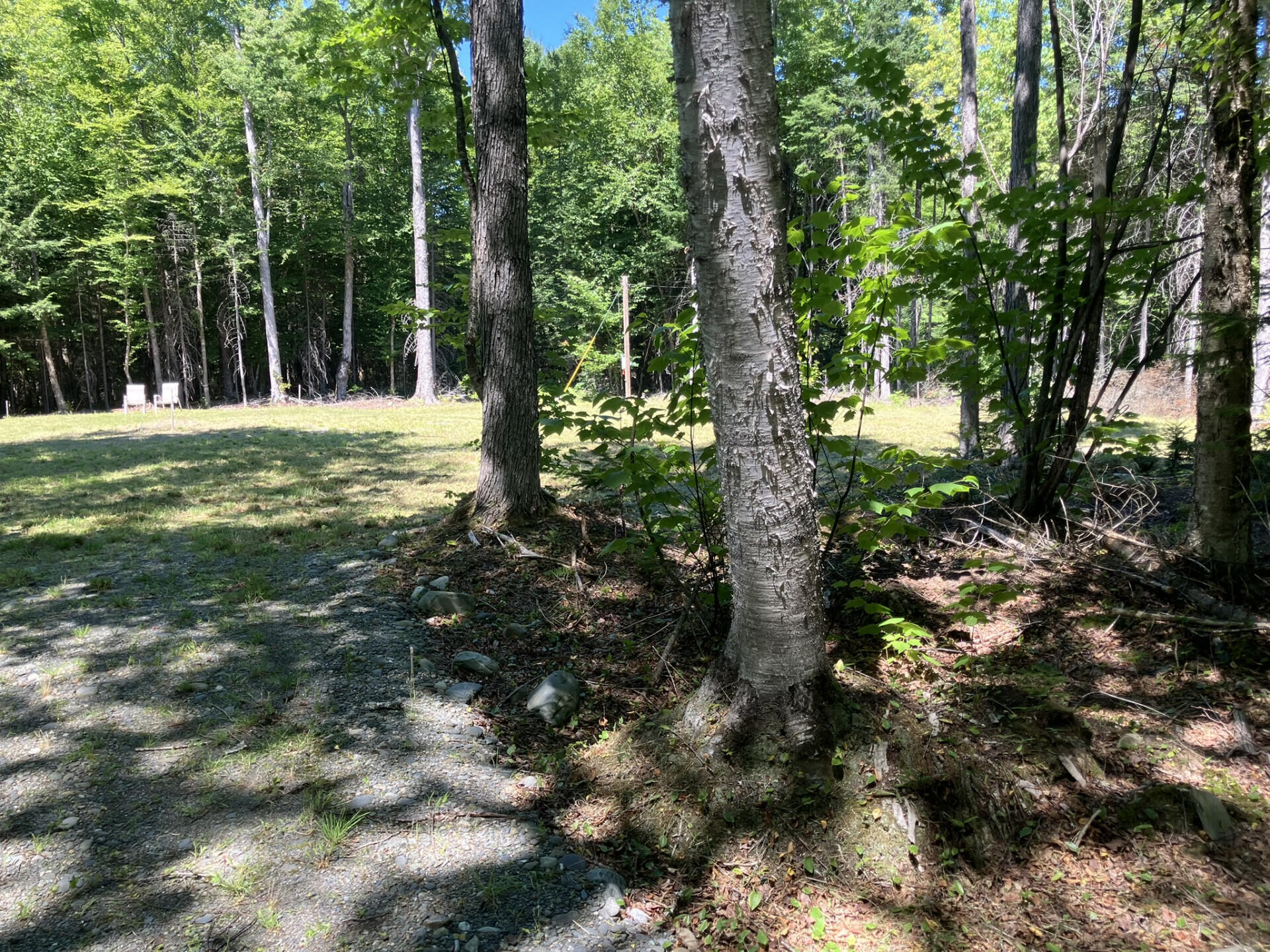52 Slate Trail Property Photo 12
