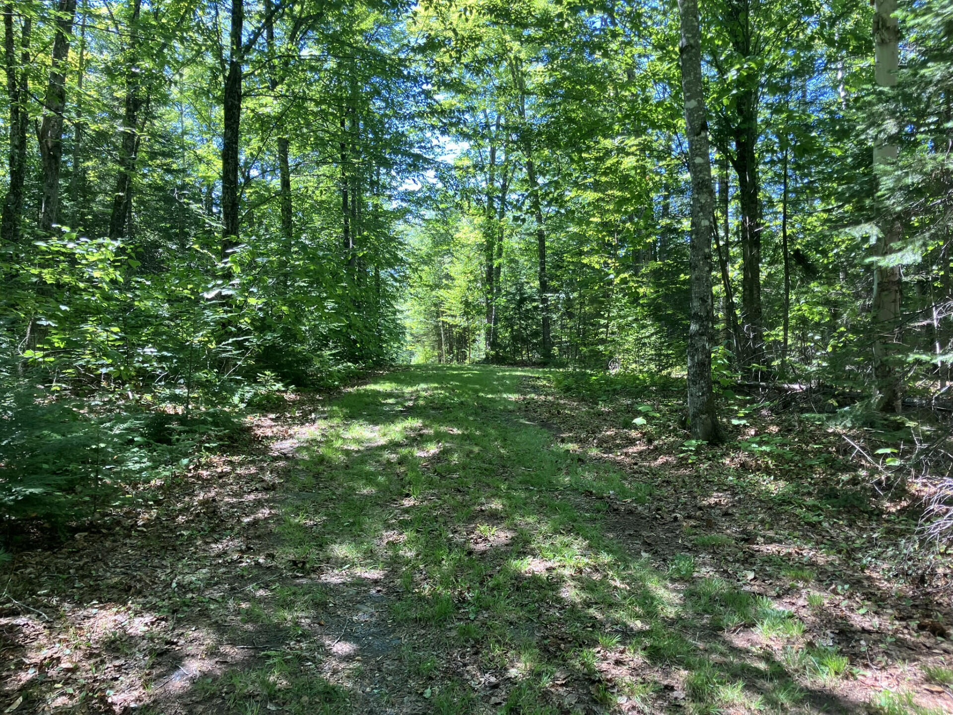 52 Slate Trail Property Photo 13