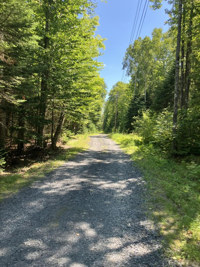 52 Slate Trail Property Photo 15