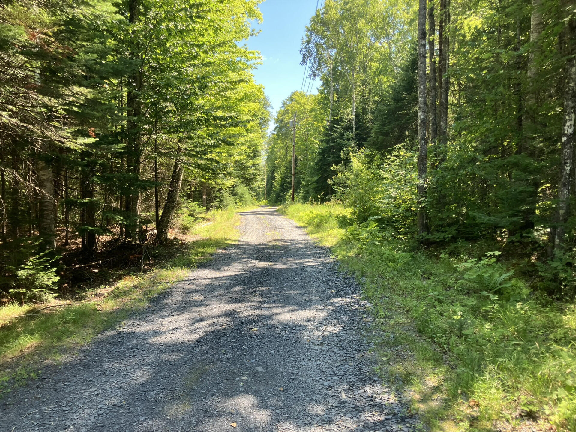 52 Slate Trail Property Photo 16