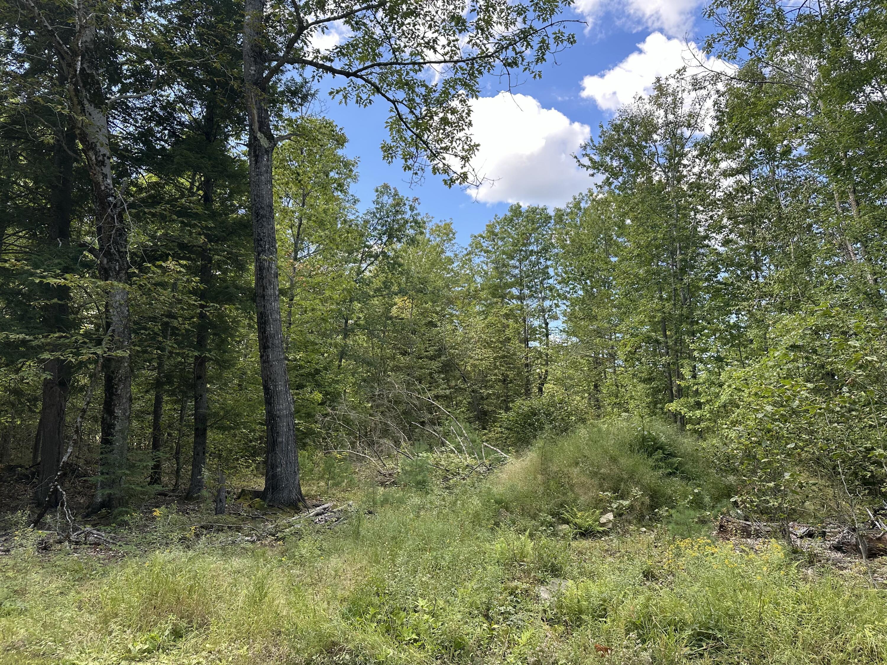 180 N Camp Road Property Photo 4