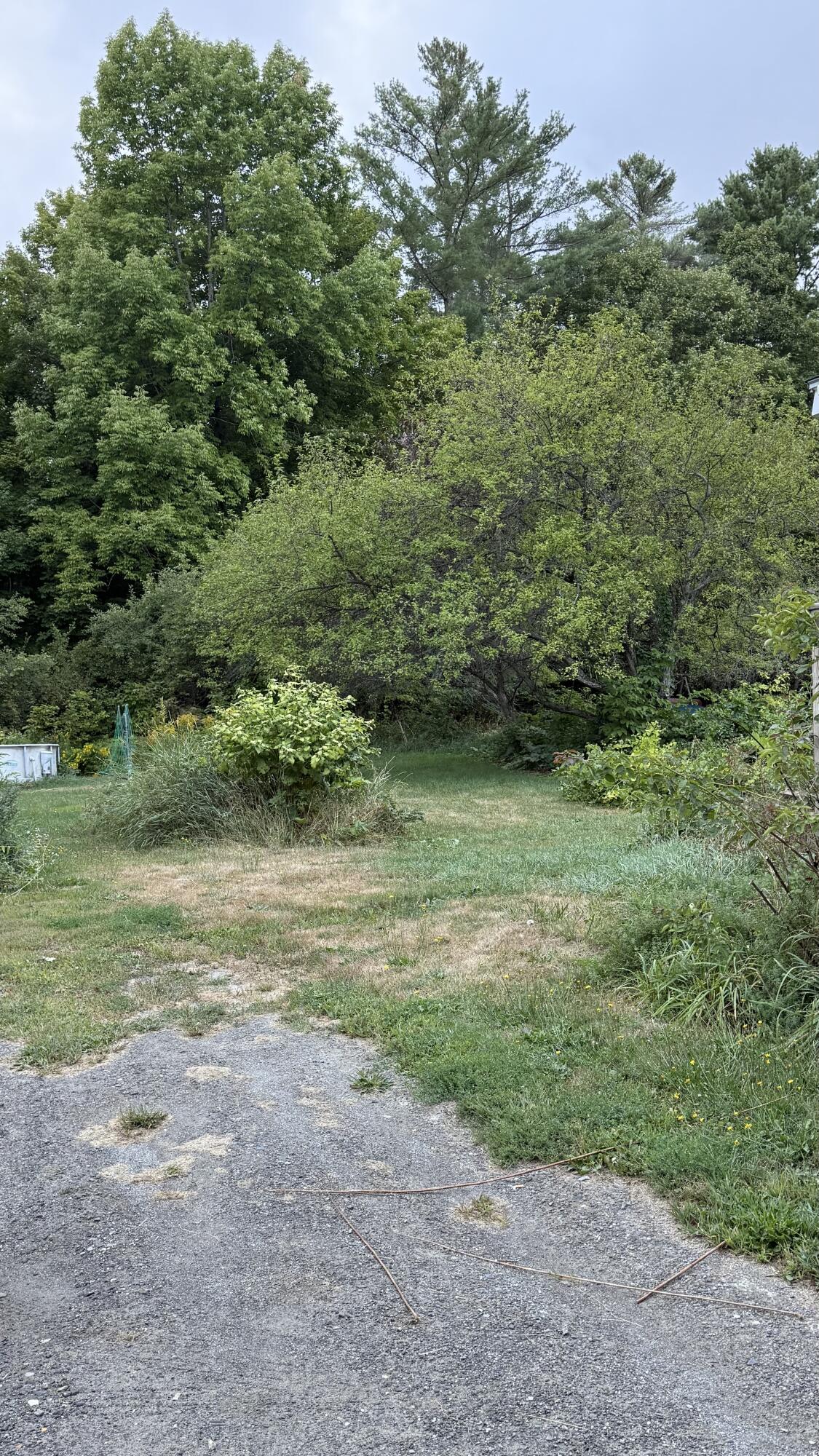 1123 South Street Property Photo 50
