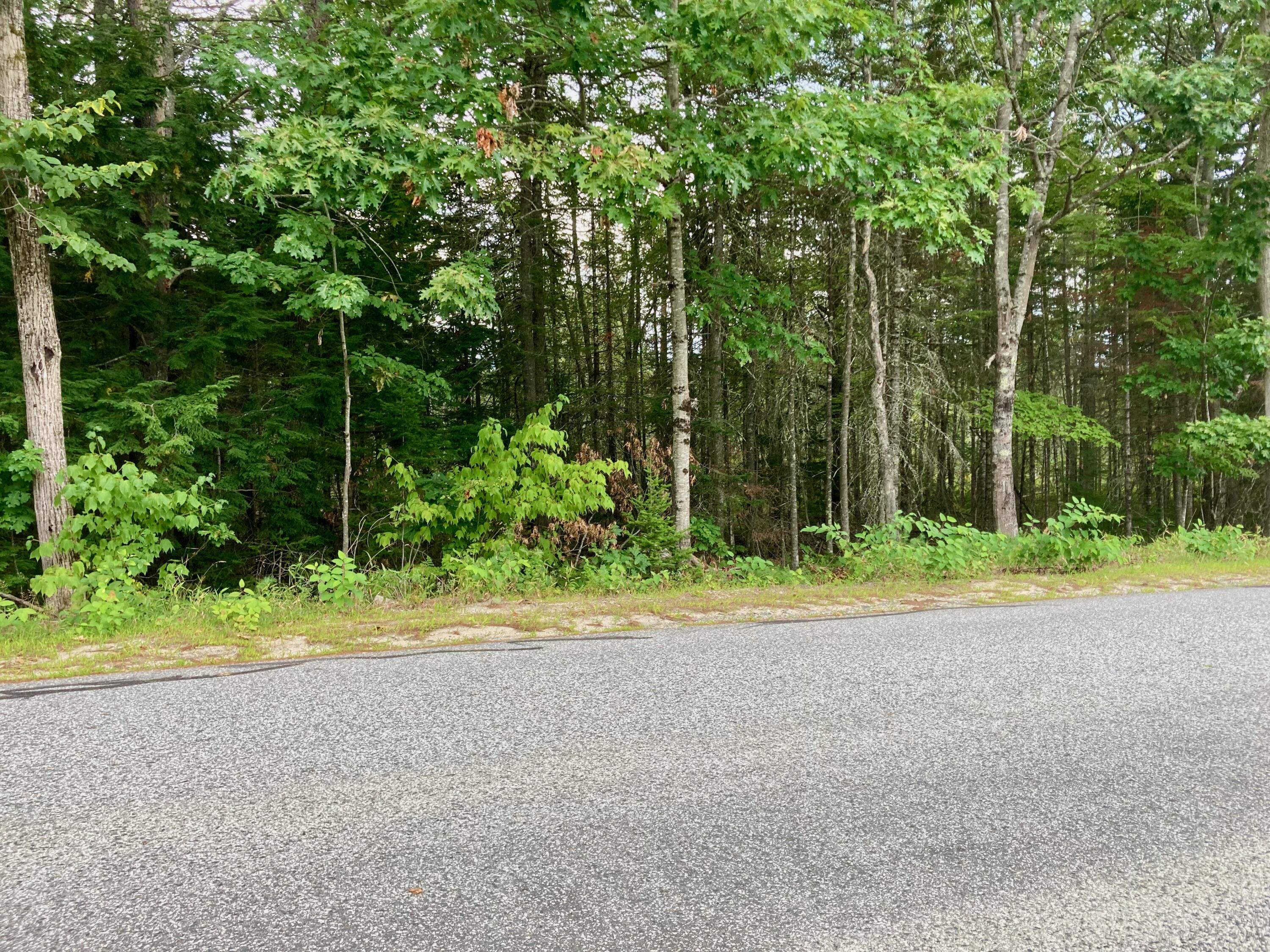 0 Edes Falls Road Property Photo 3