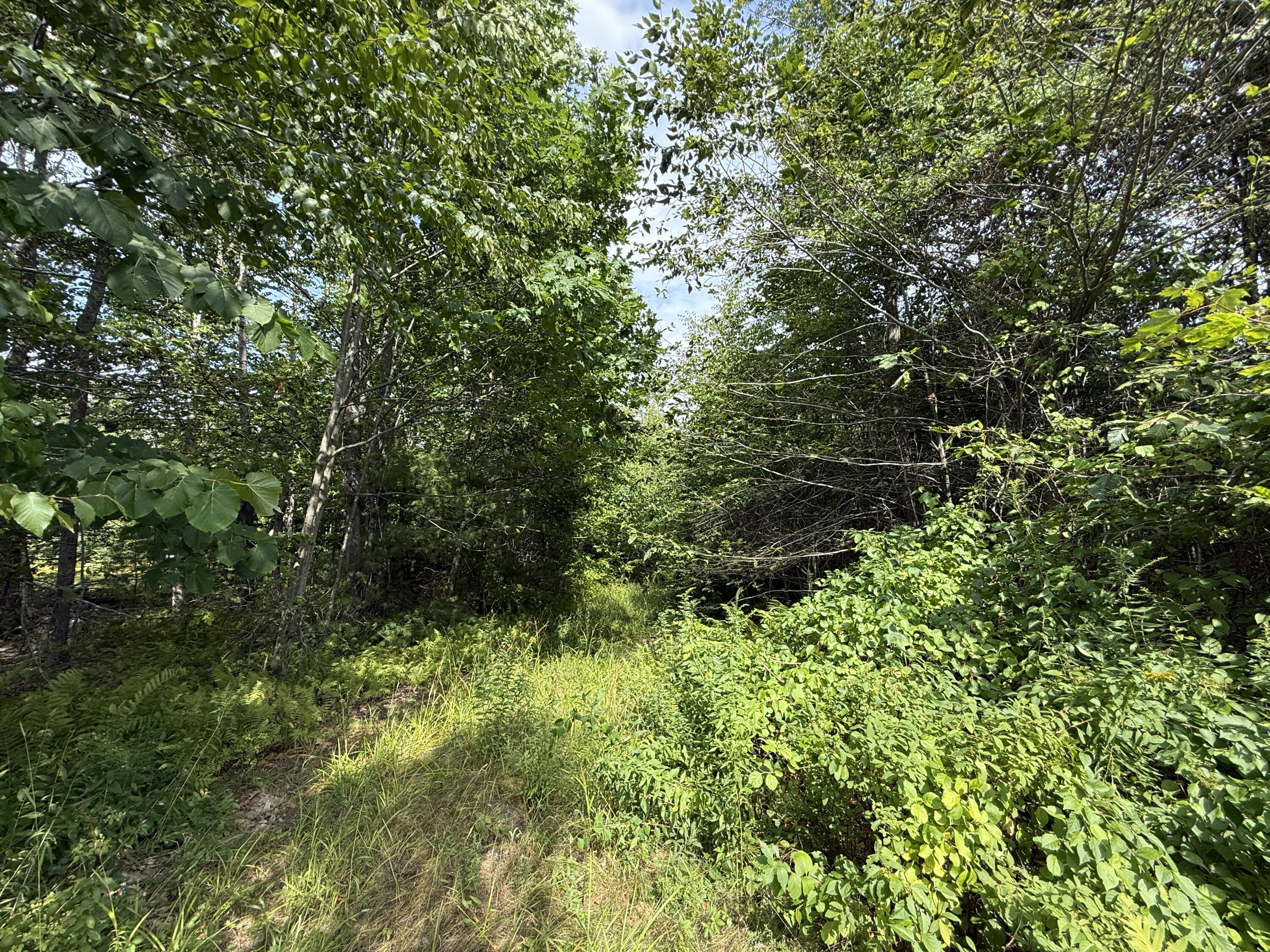 00 Nick Nate Drive Property Photo 4