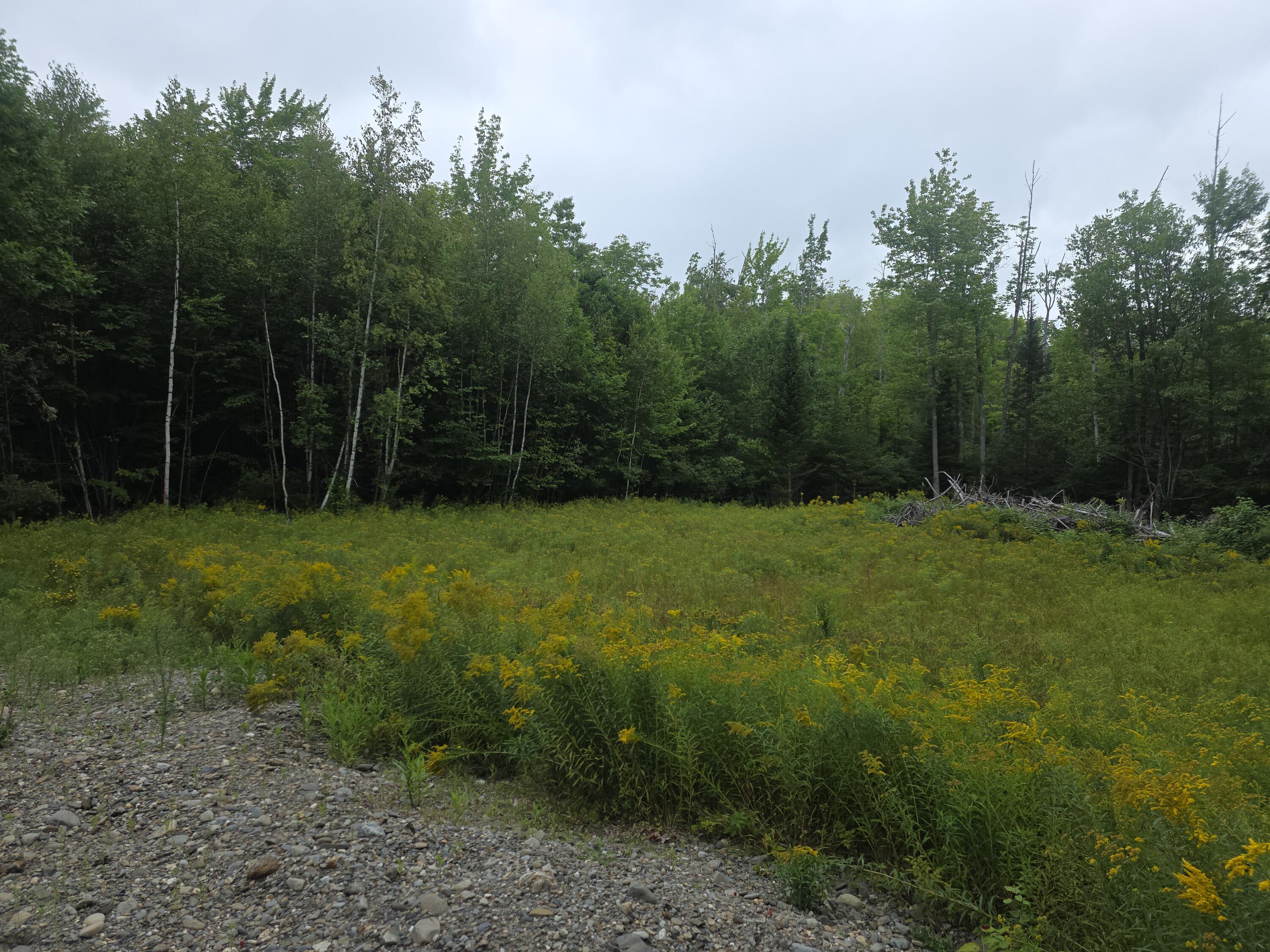 Lot 11 Cheri Lane Property Photo 3