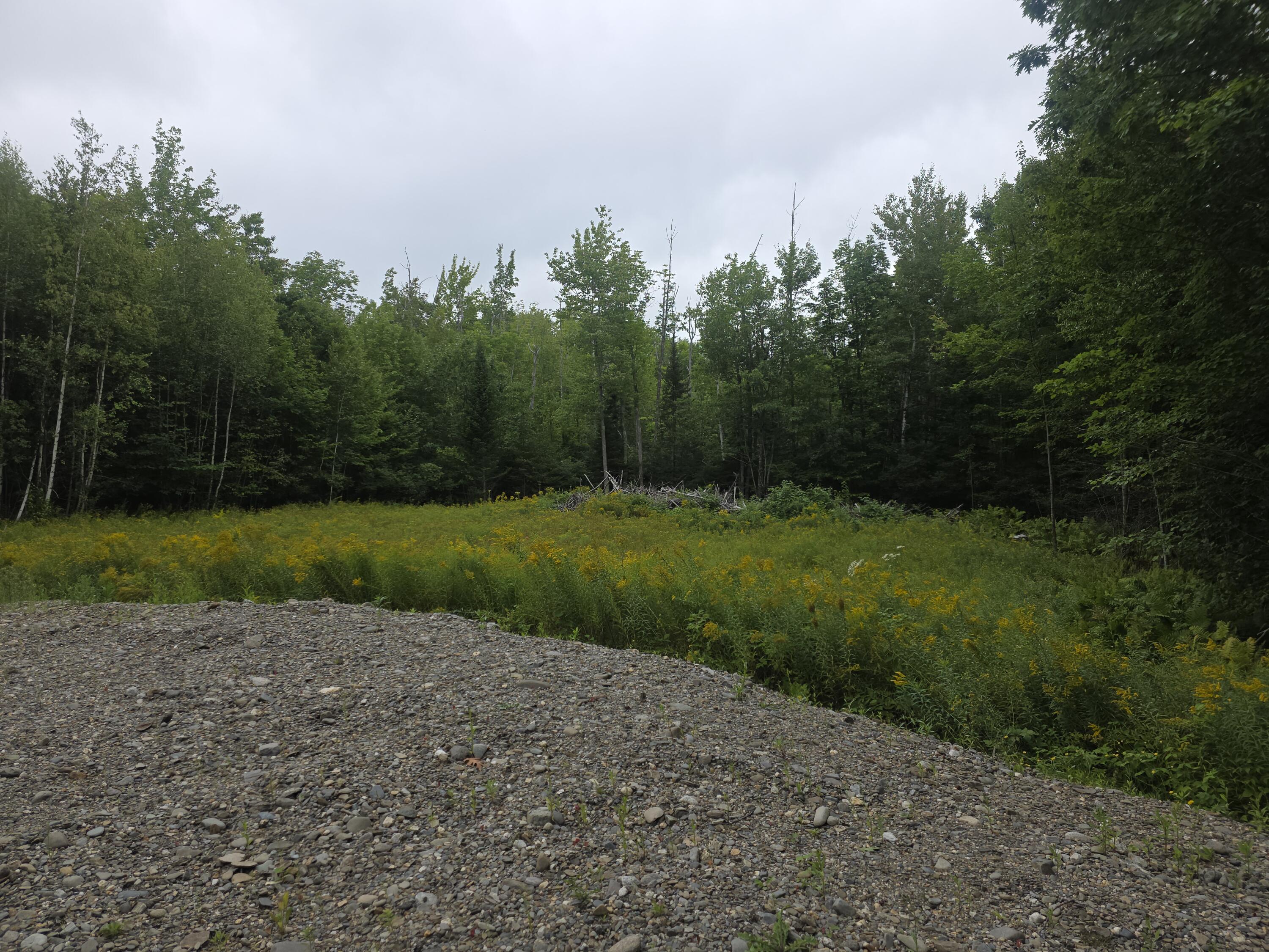 Lot 11 Cheri Lane Property Photo 4