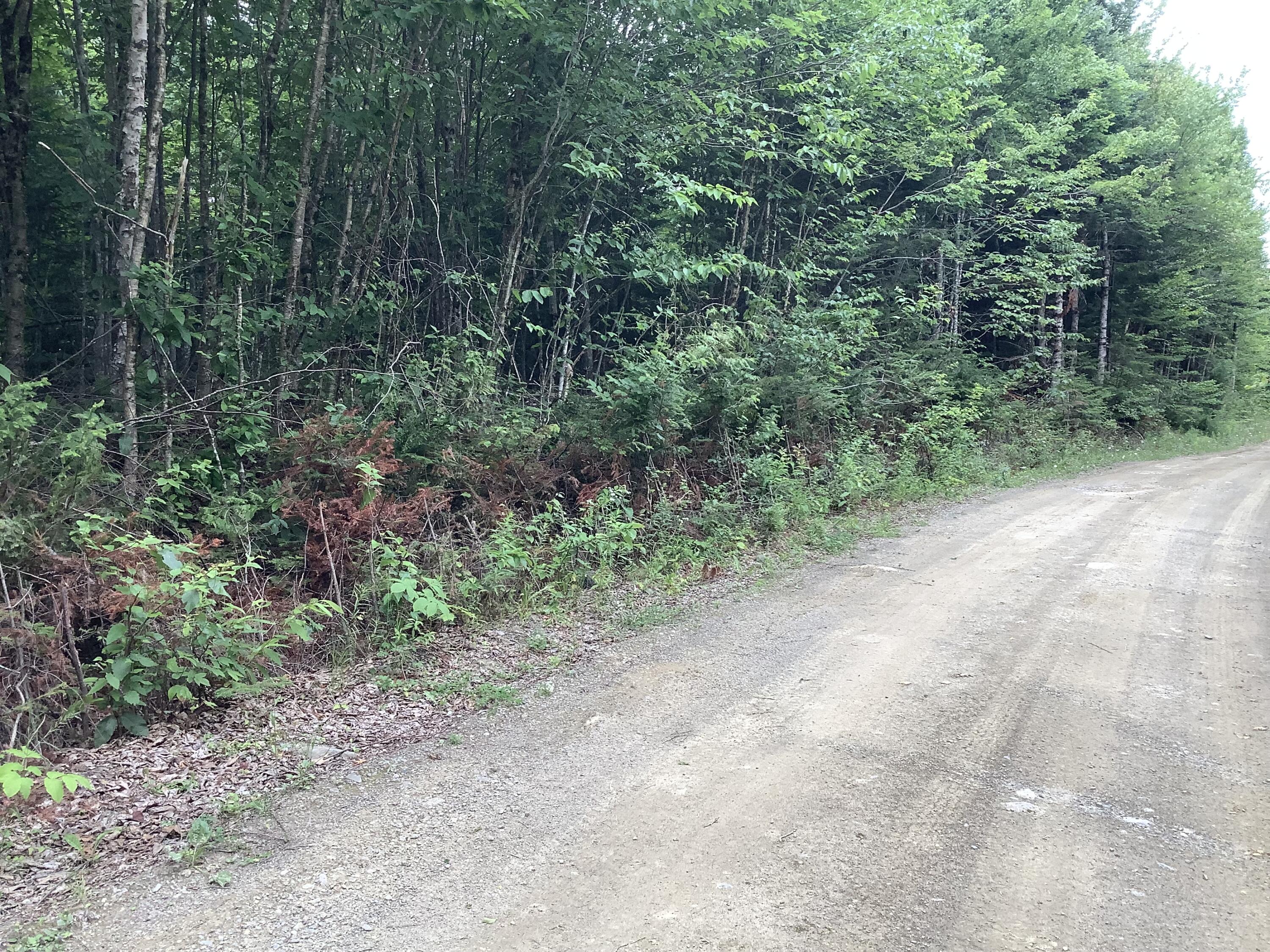 0 Fire Road Property Photo 3