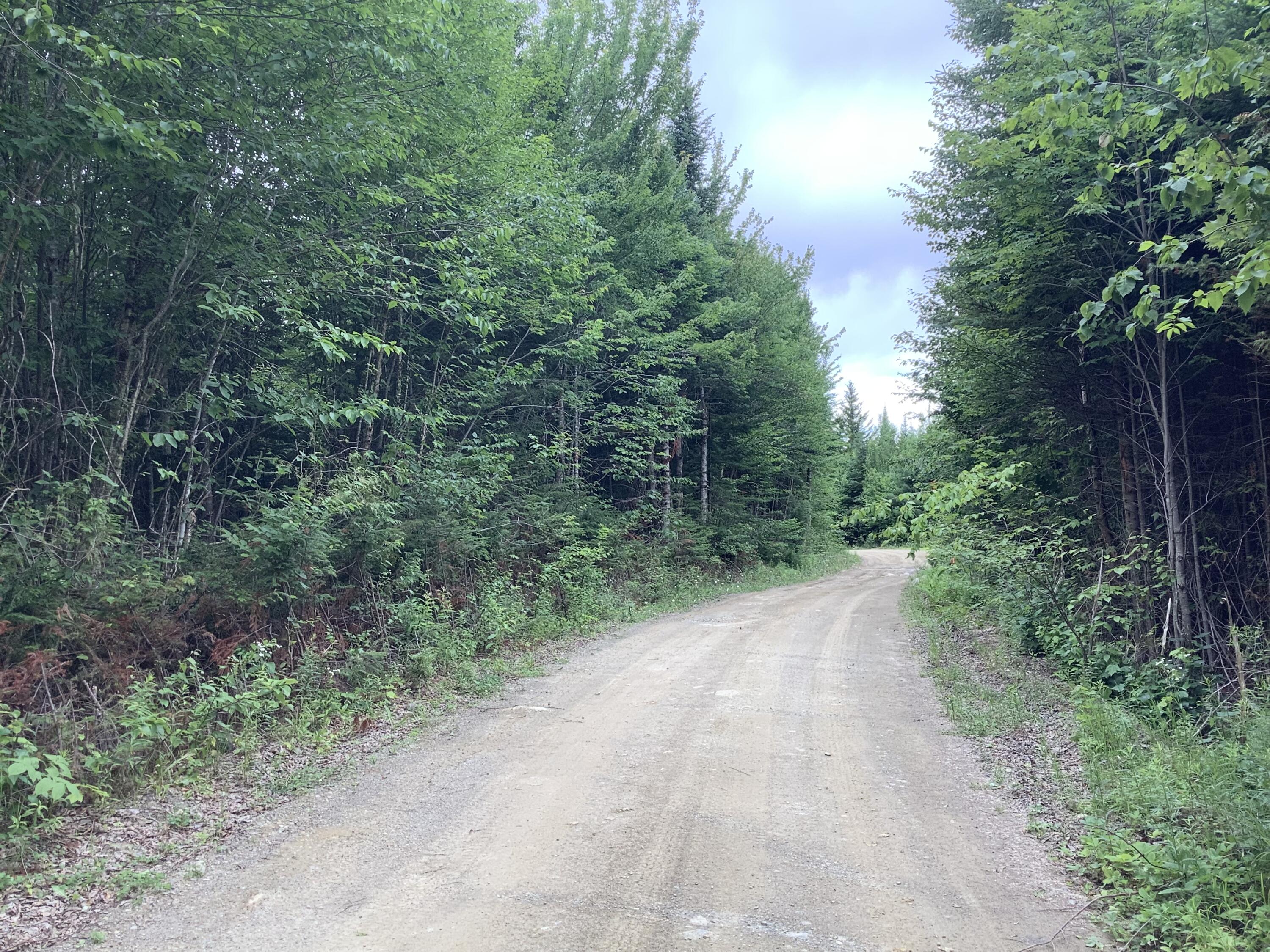 0 Fire Road Property Photo 4