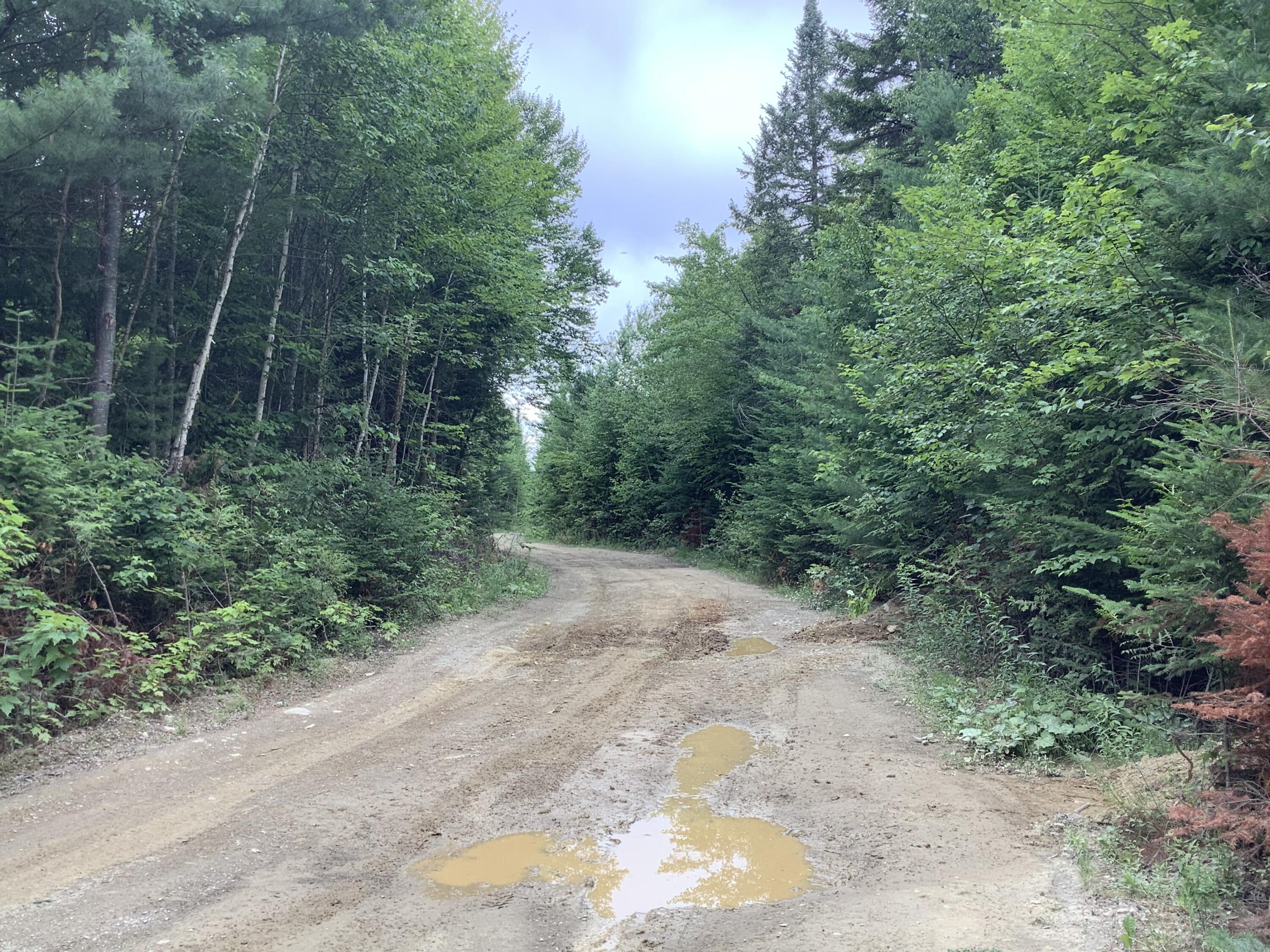 0 Fire Road Property Photo 5