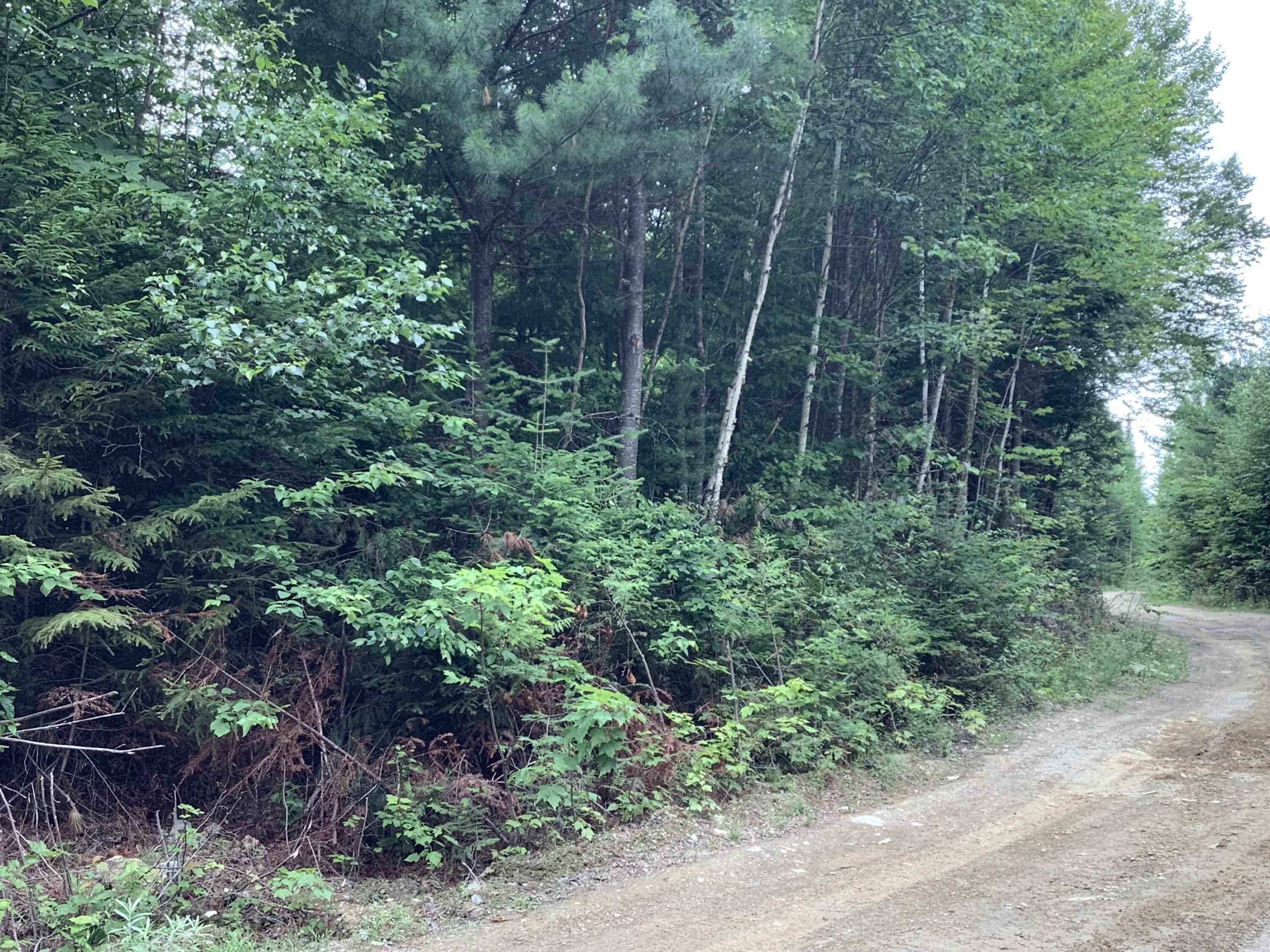 0 Fire Road Property Photo 6