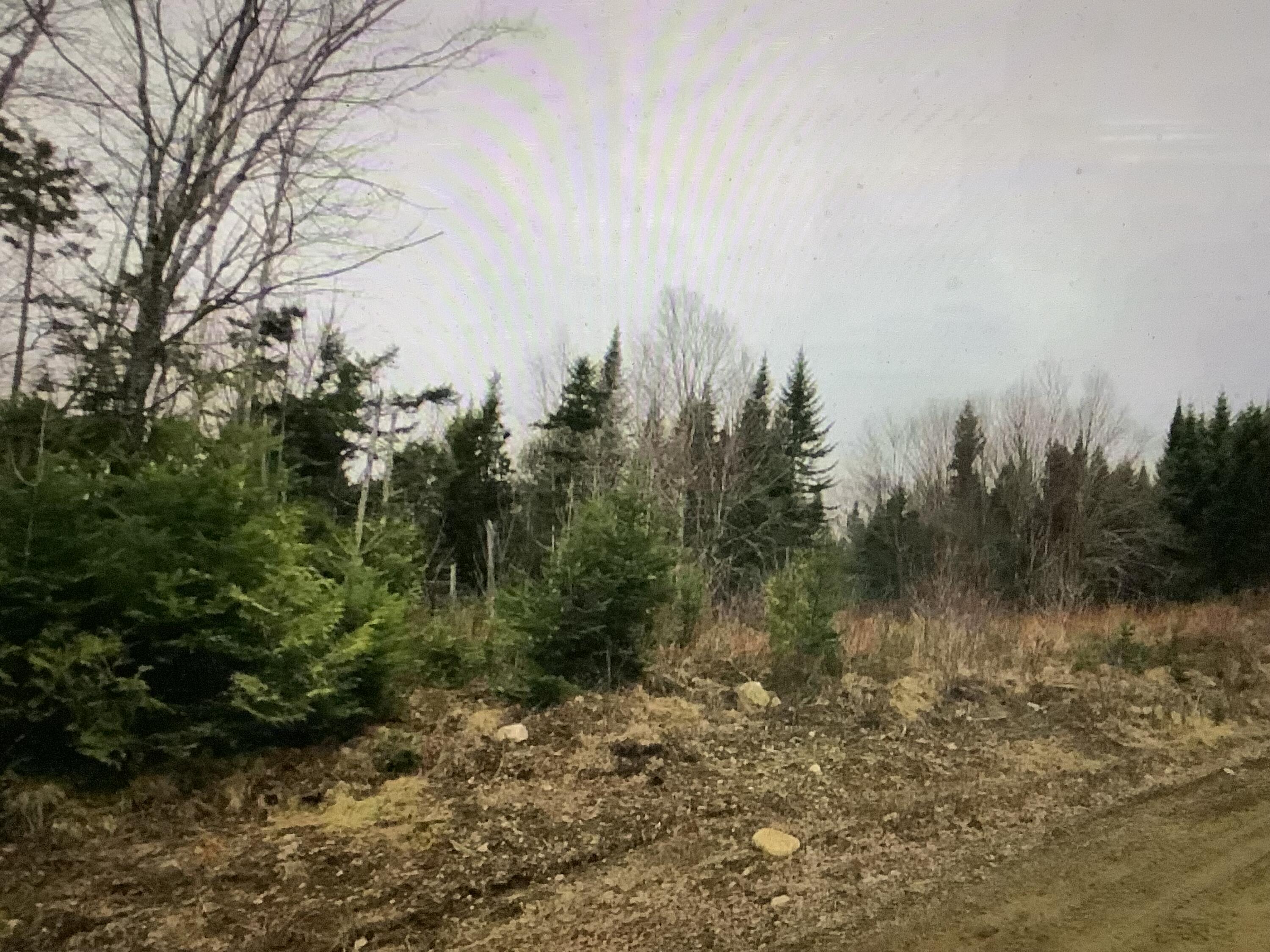 0 Fire Road Property Photo 10