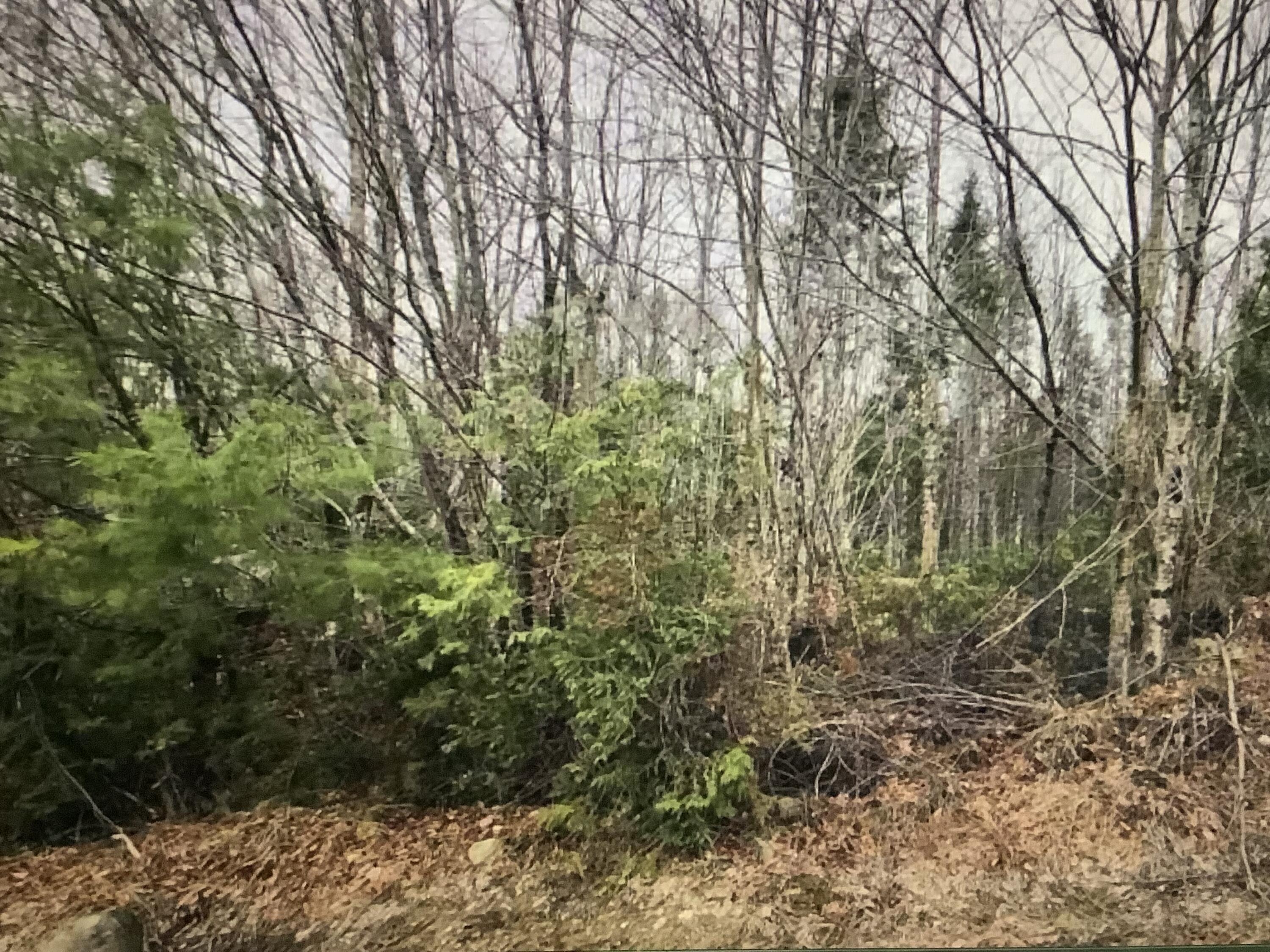 0 Fire Road Property Photo 11