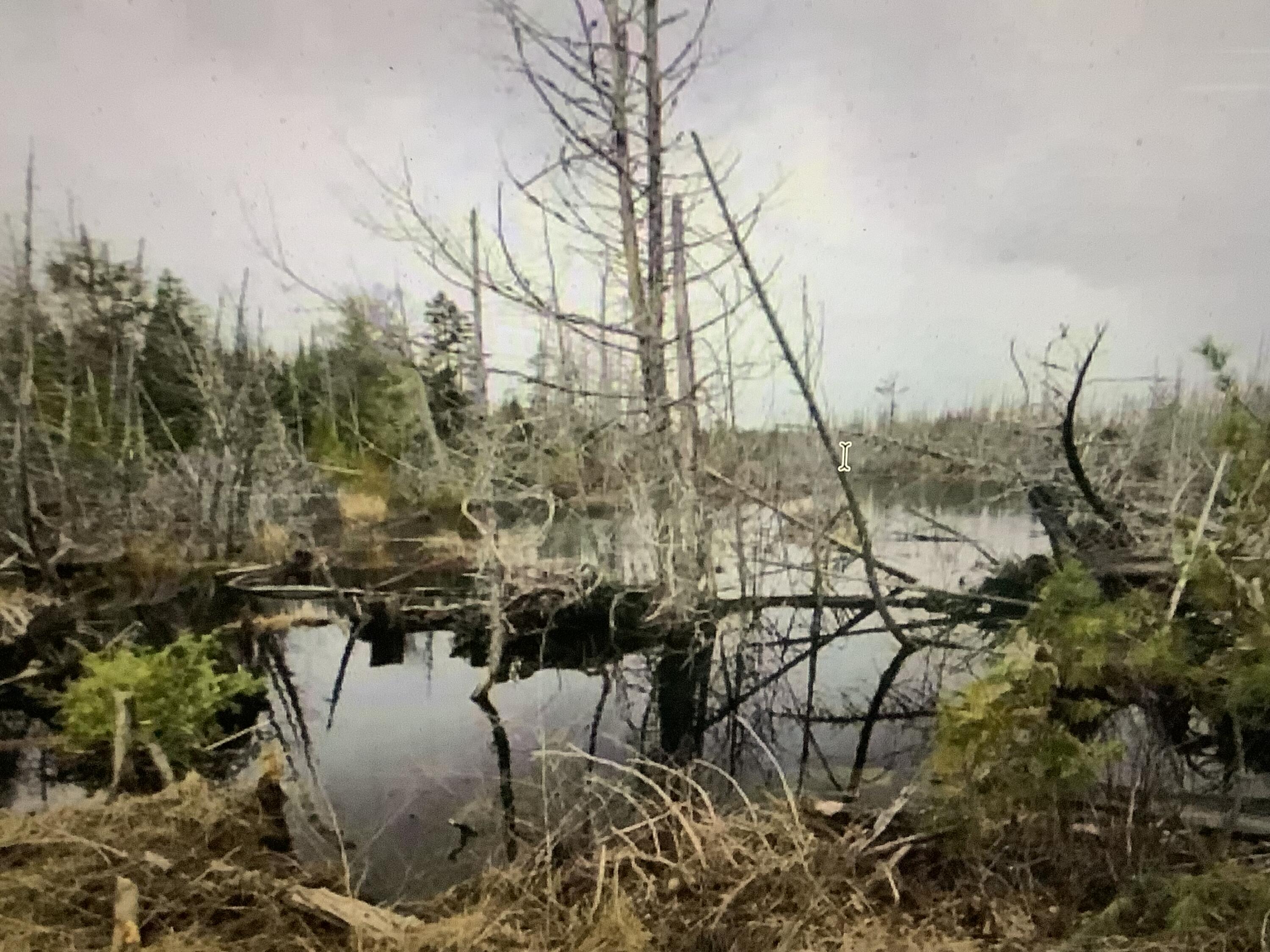 0 Fire Road Property Photo 12