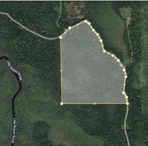 0 Fire Road Property Photo 13