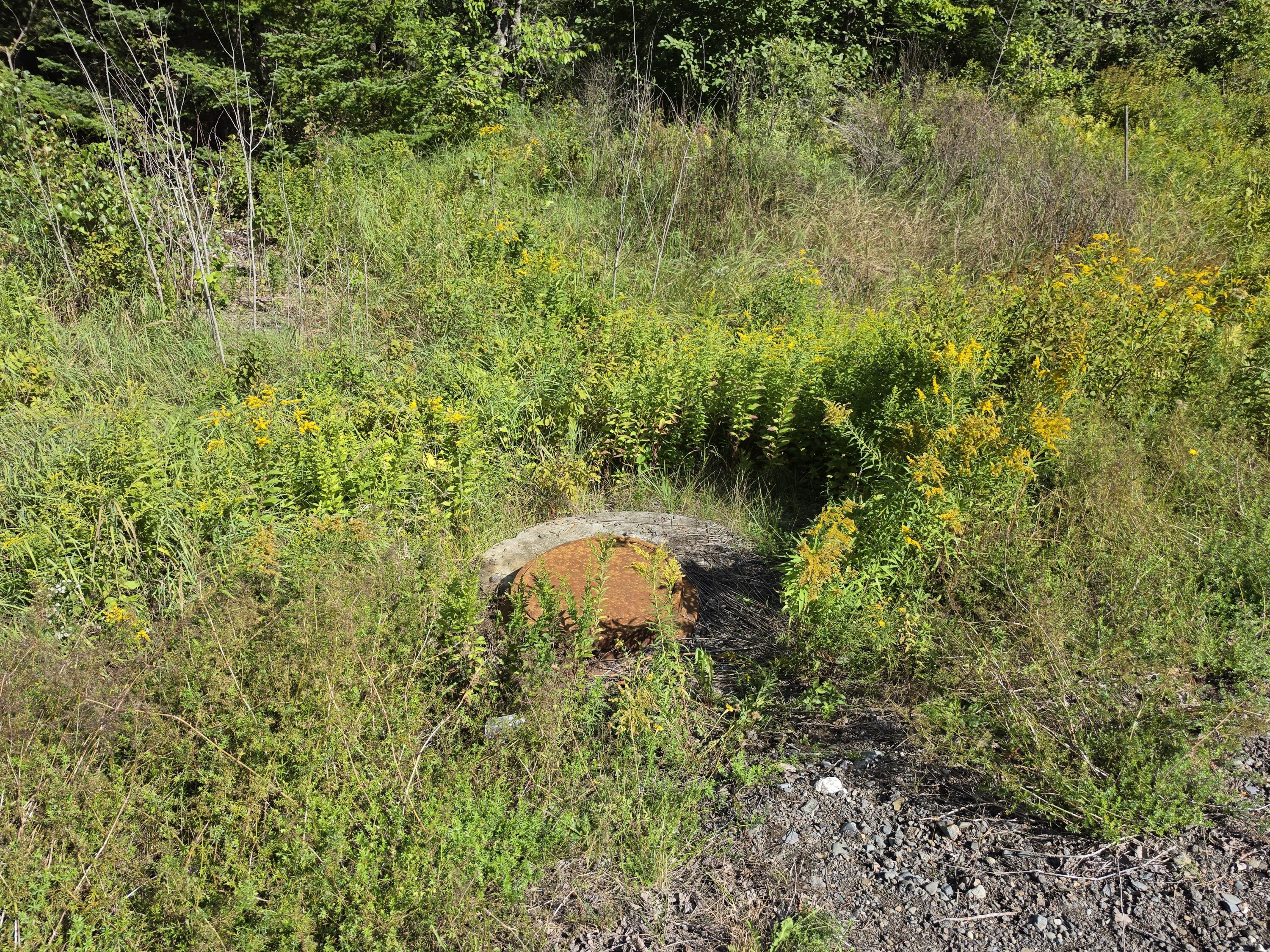 Lot 13.1 Route 6 Property Photo 31