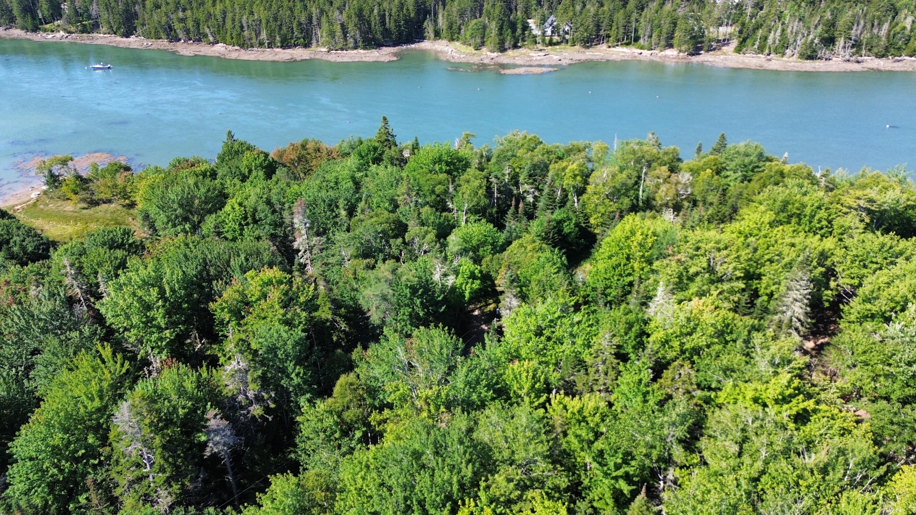 Lot 5c Tom Leighton Point Road Property Photo 1
