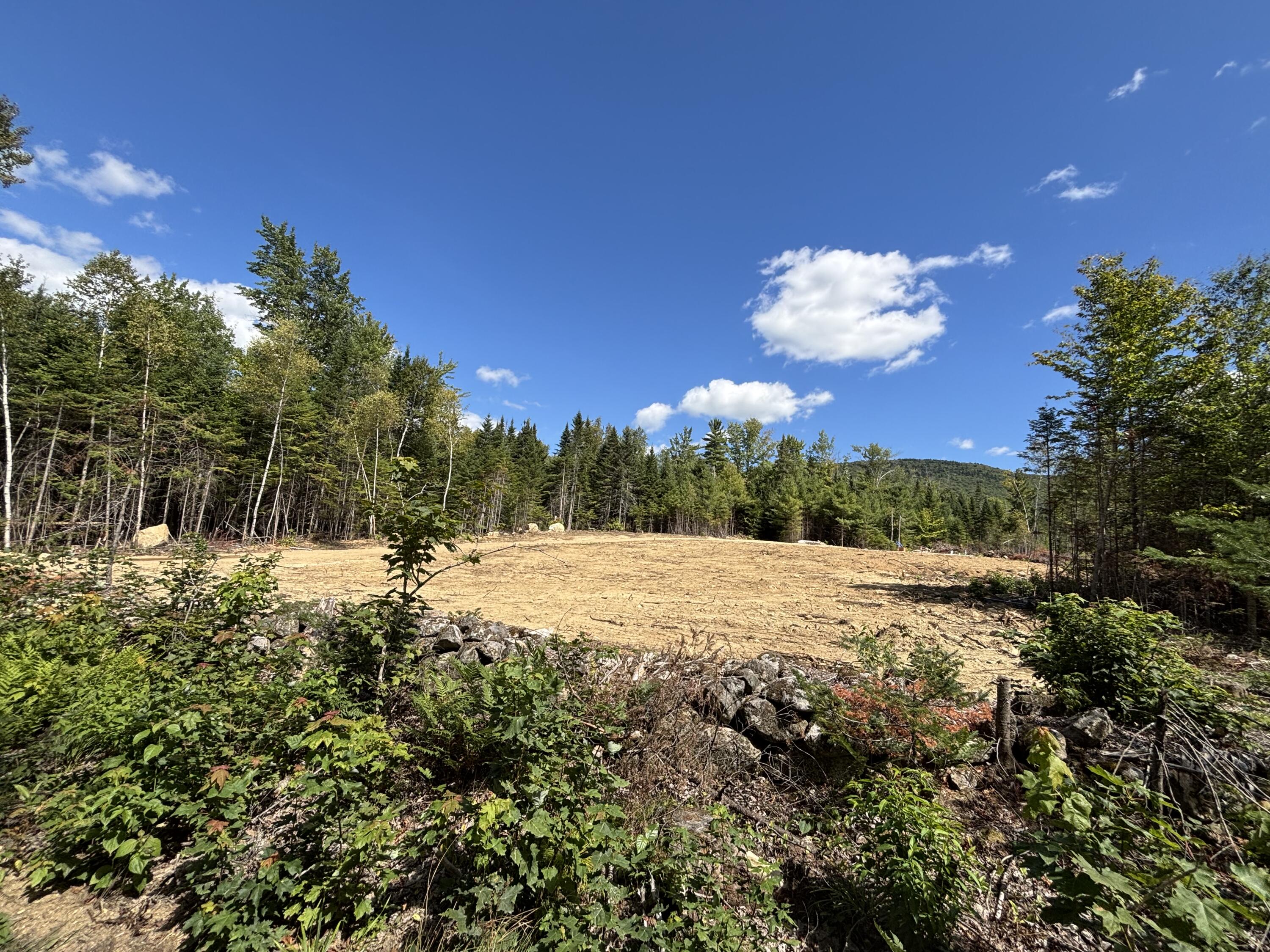 Lot 07 Brown Neighborhood Road Property Photo 3