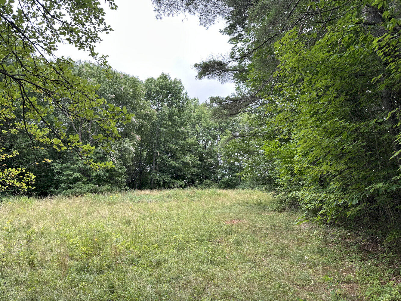 Middle Rd M14 L25-1a Property Photo 1