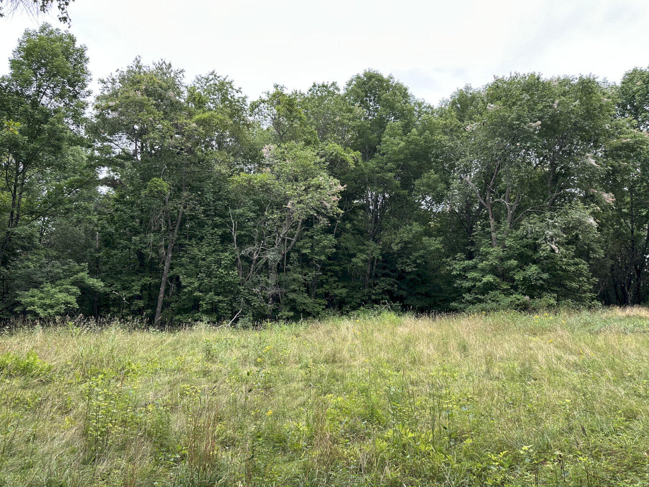 Middle Rd M14 L25-1a Property Photo 2