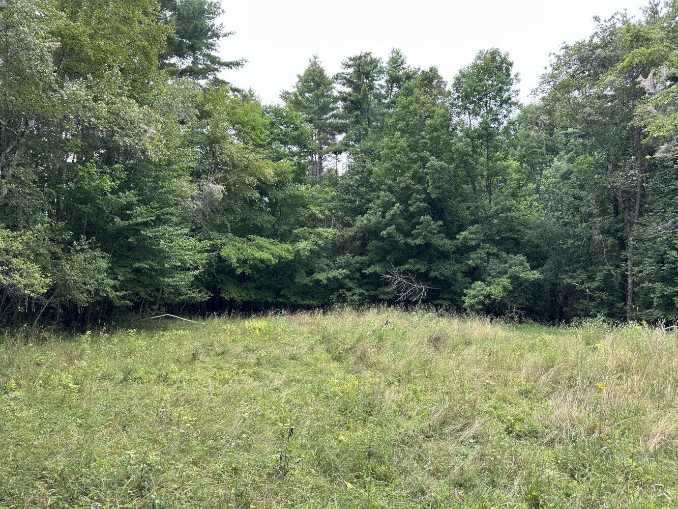 Middle Rd M14 L25-1a Property Photo 3