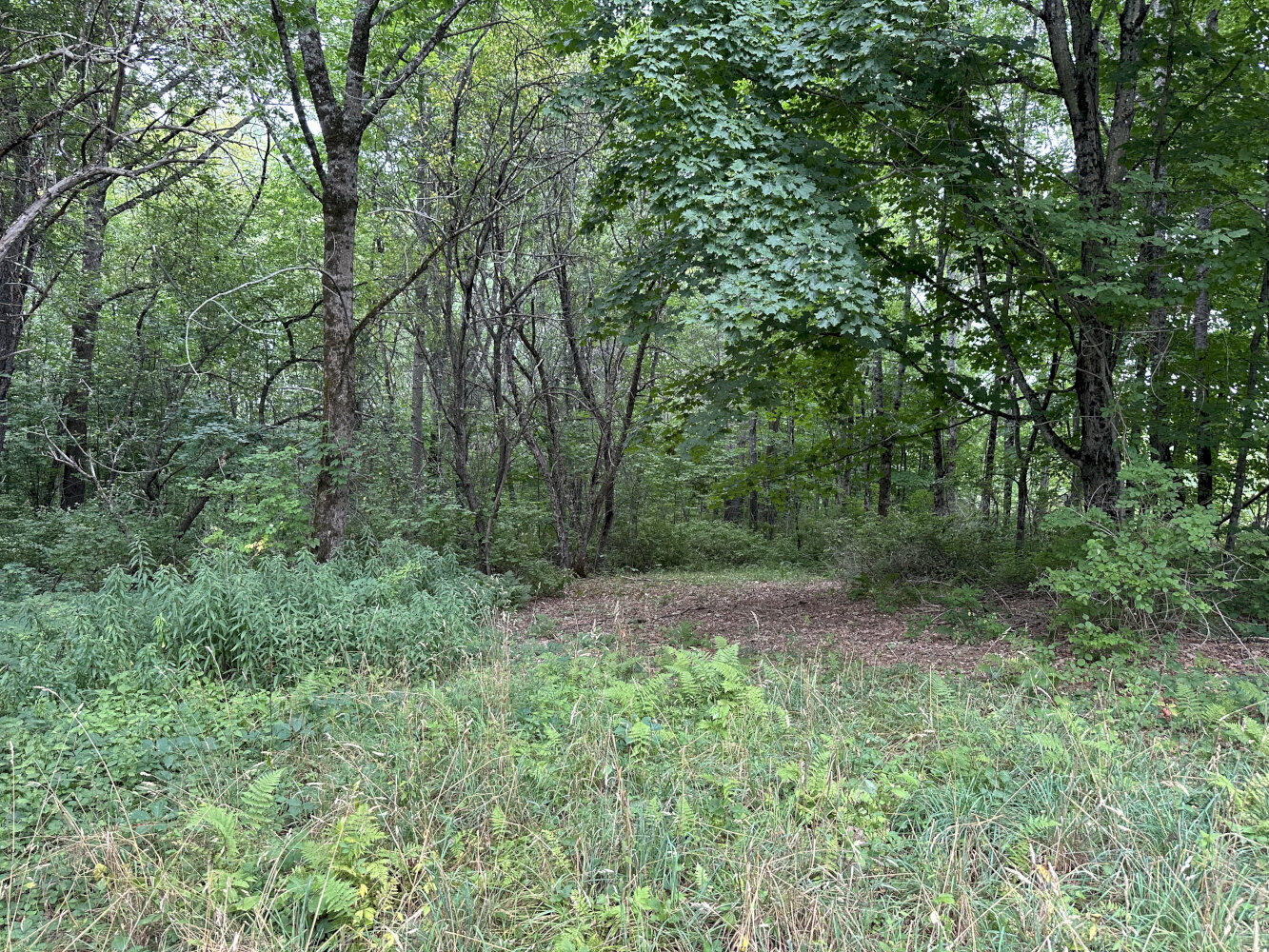 Middle Rd M14 L25-1a Property Photo 4