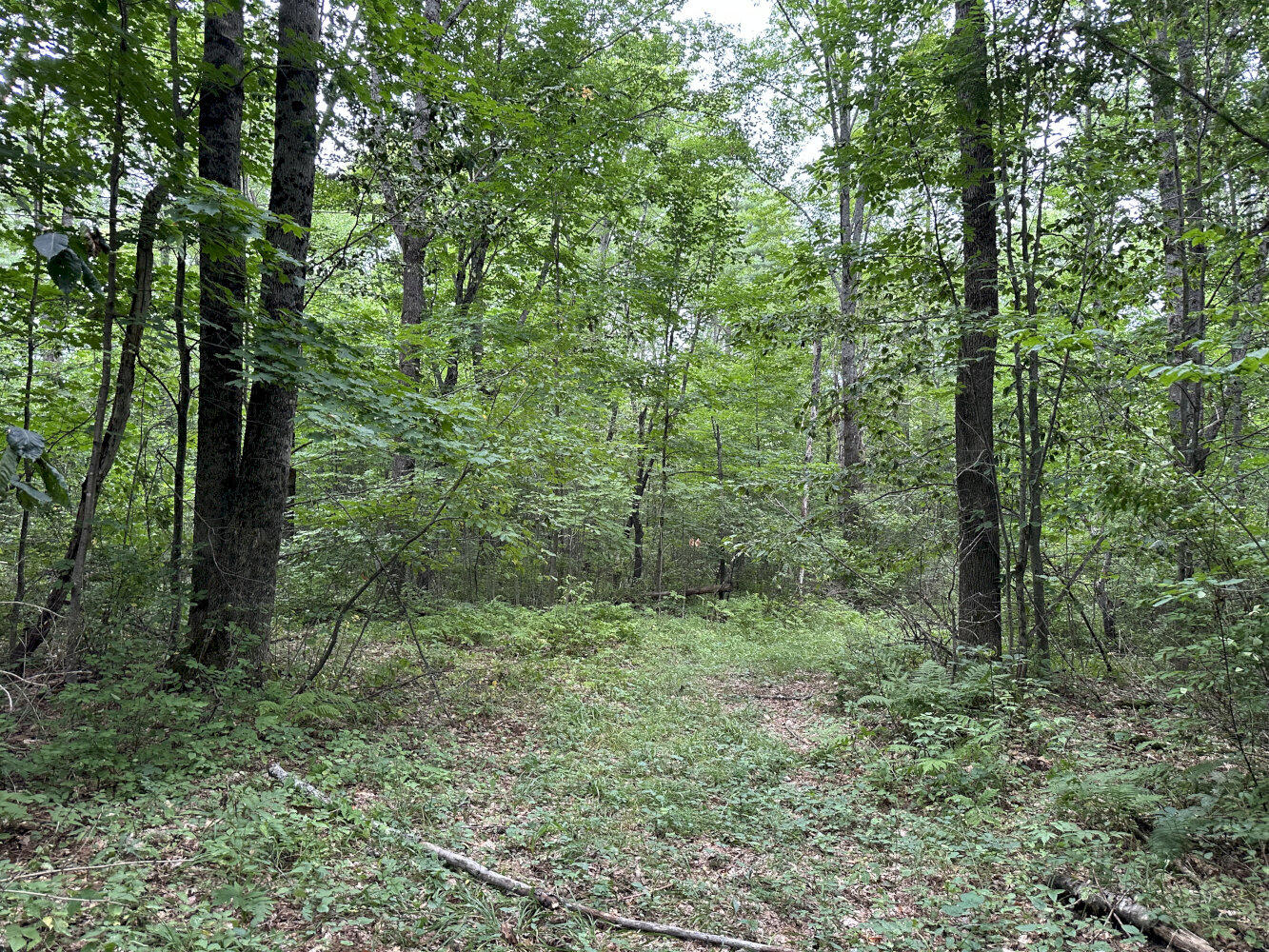 Middle Rd M14 L25-1a Property Photo 8