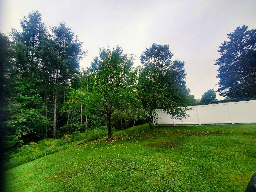 269 Alder Street Property Photo 19